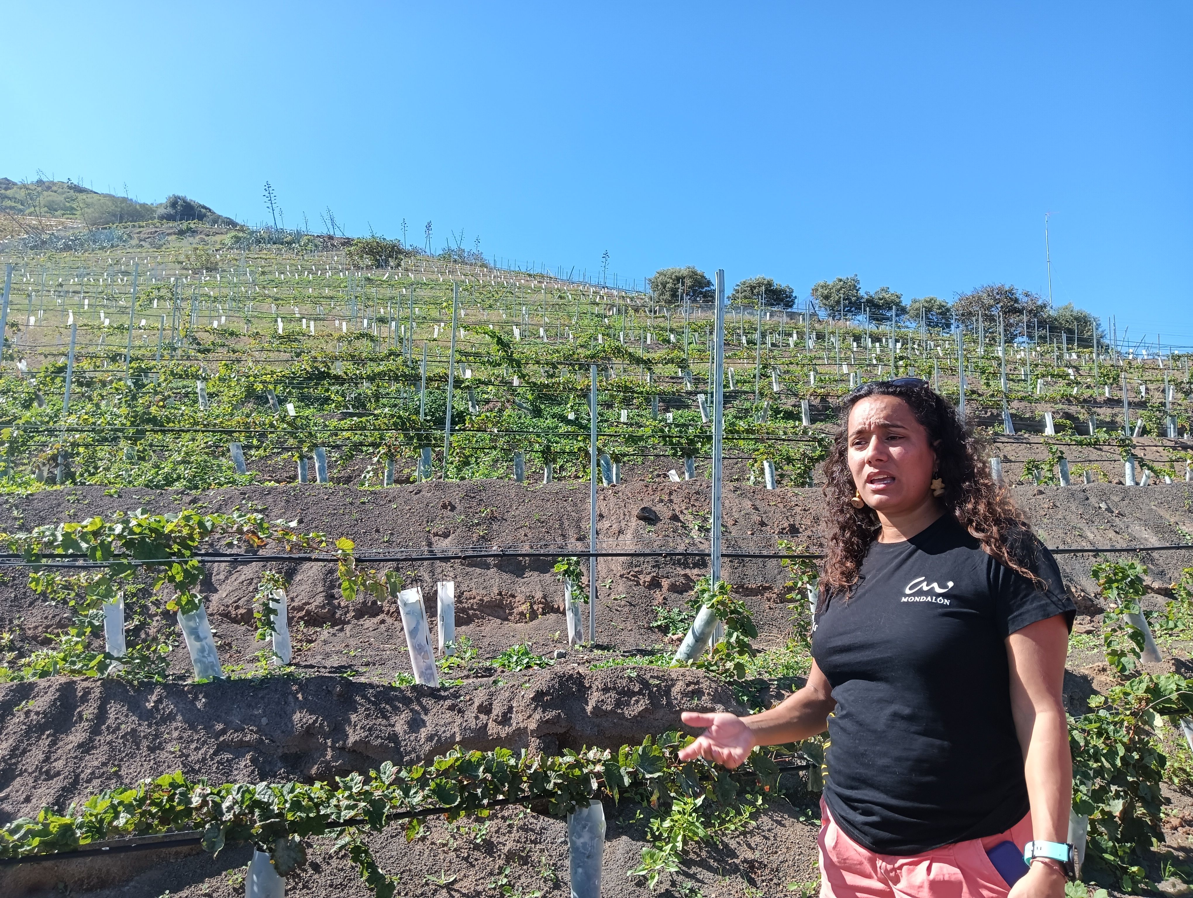 Tamara Cruz, frente al viñedo plantado en la ladera.
