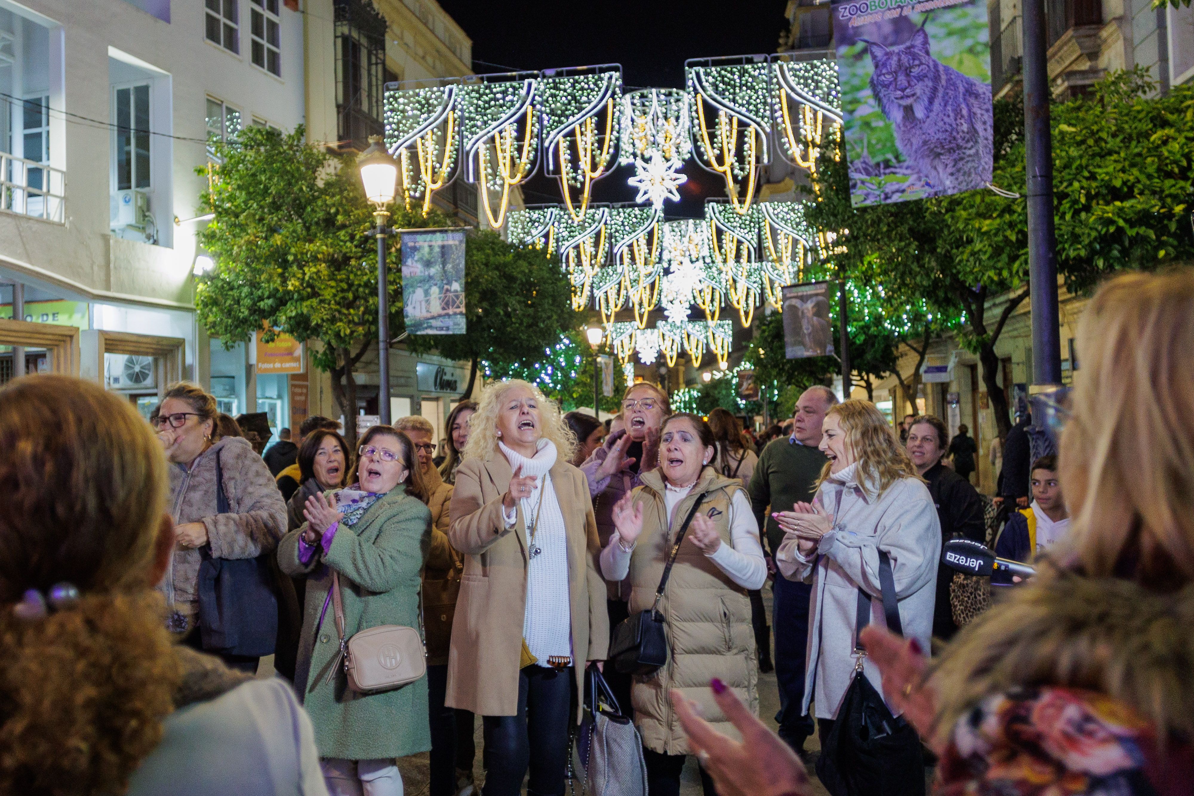 Encendido del alumbrado de Navidad en Jerez el pasado año.