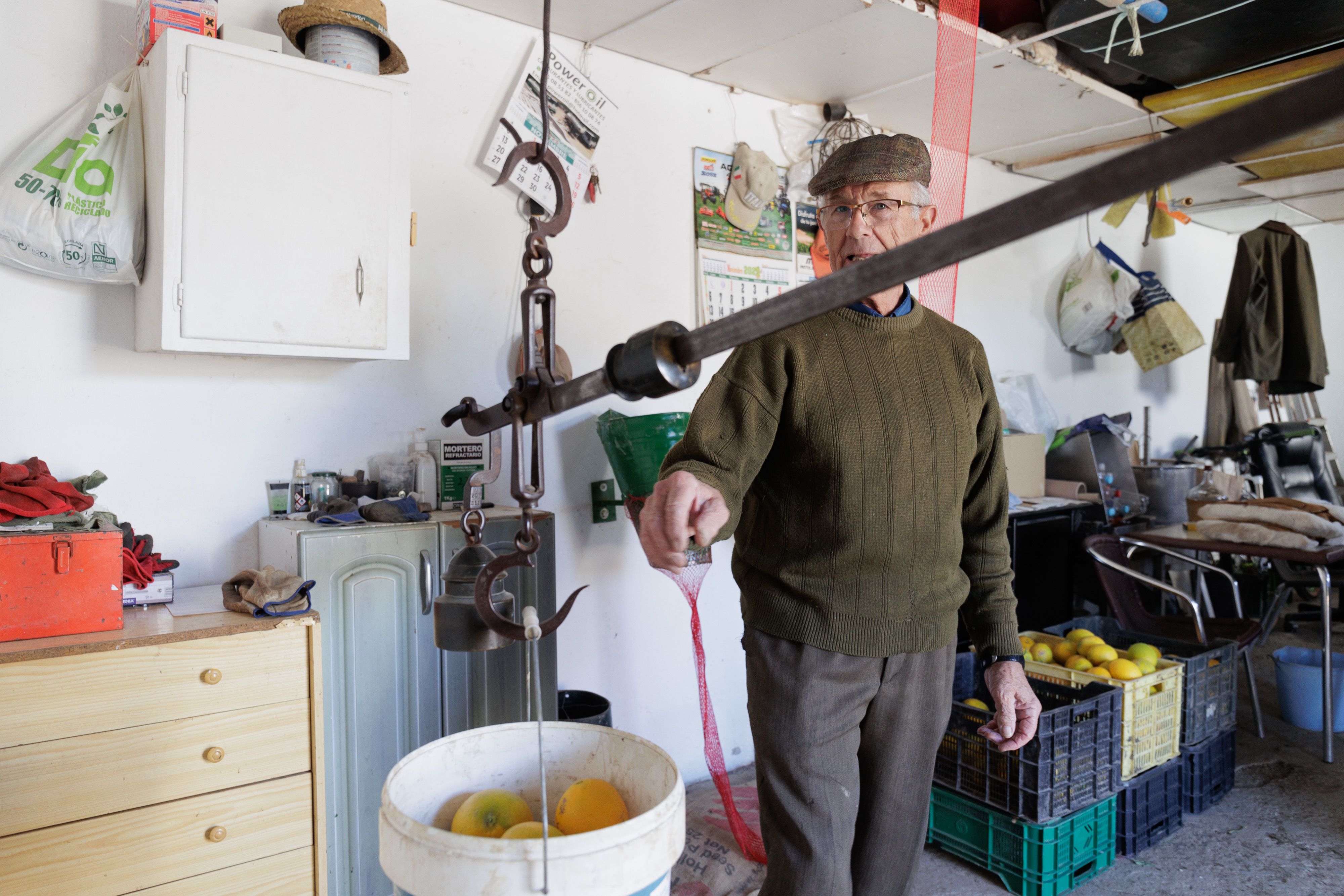 Naranjas la Greduela  07