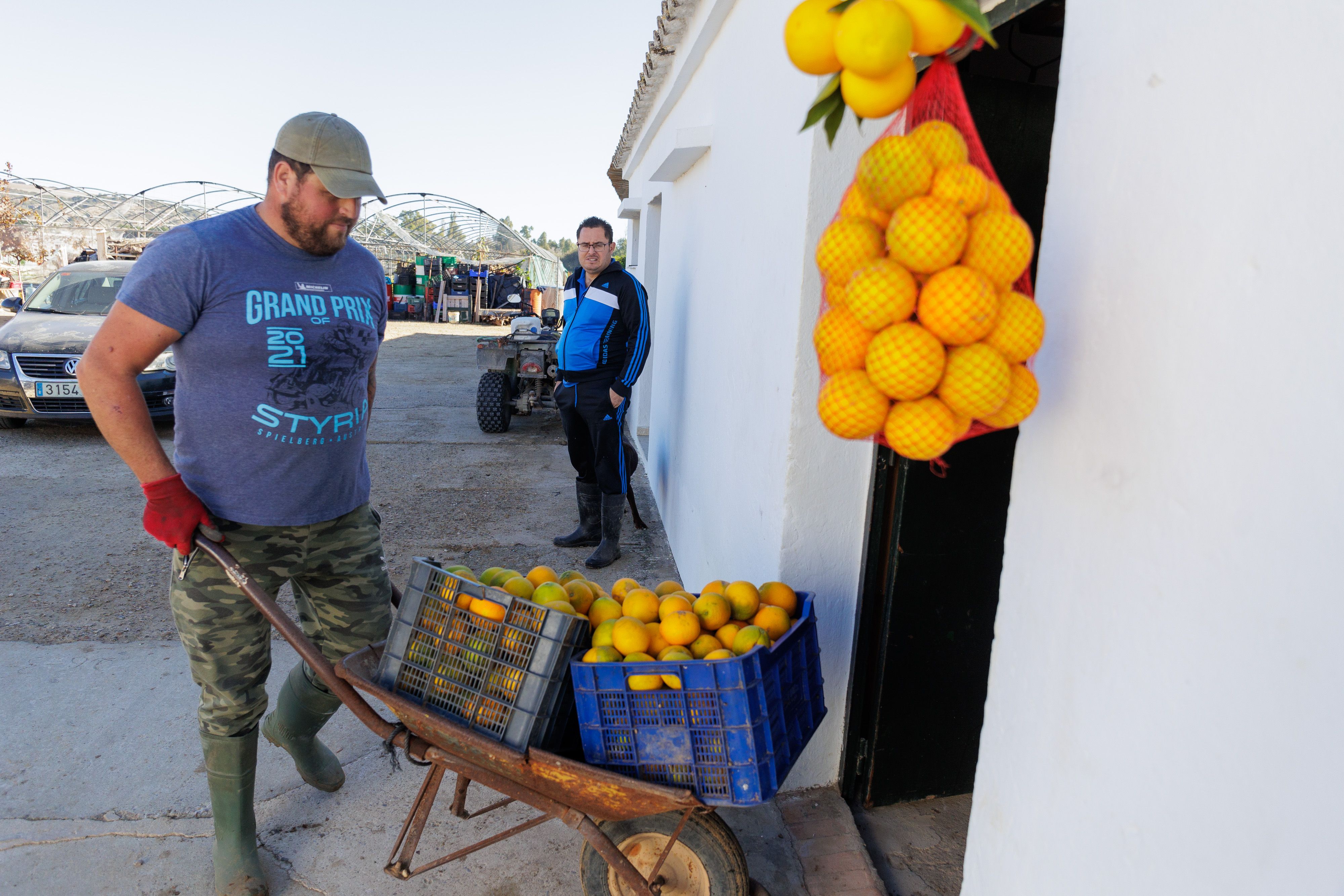 Naranjas la Greduela  12