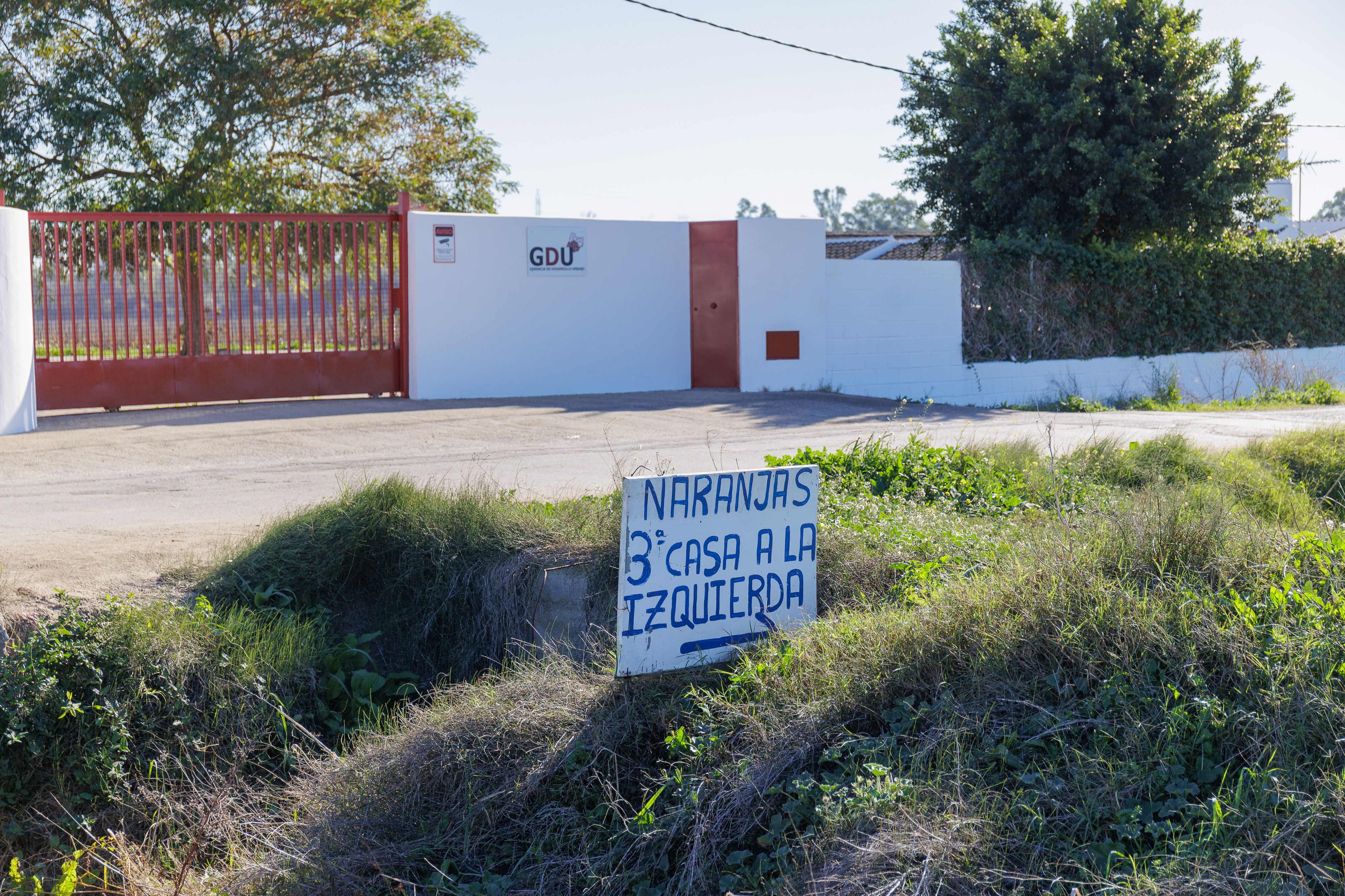 Naranjas la Greduela  13