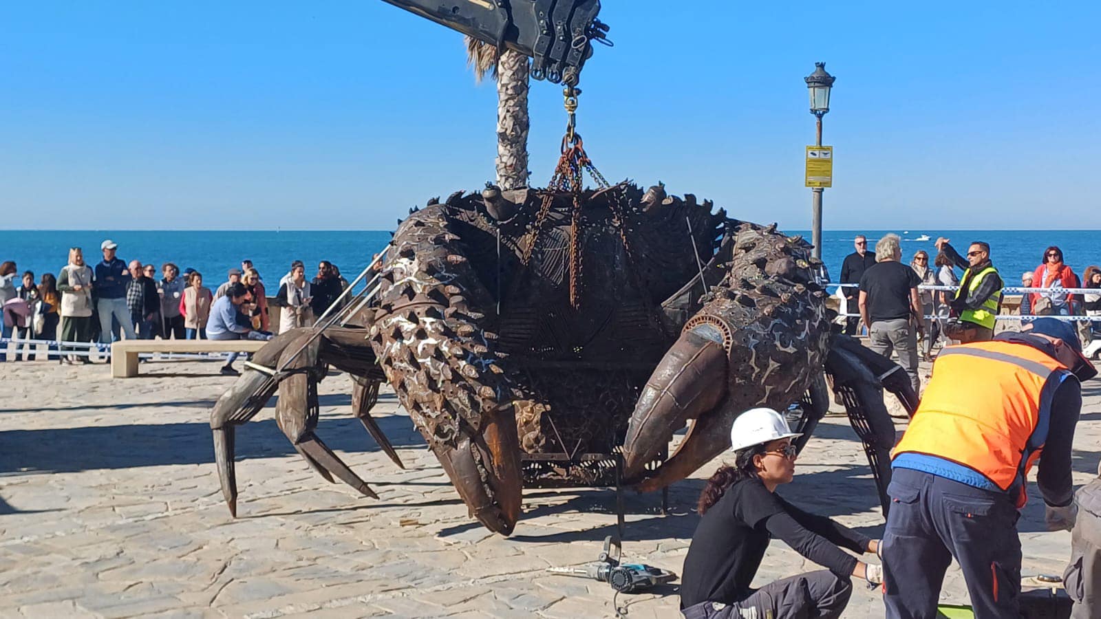 El cangrejo gigante que ha llegado a Chipiona