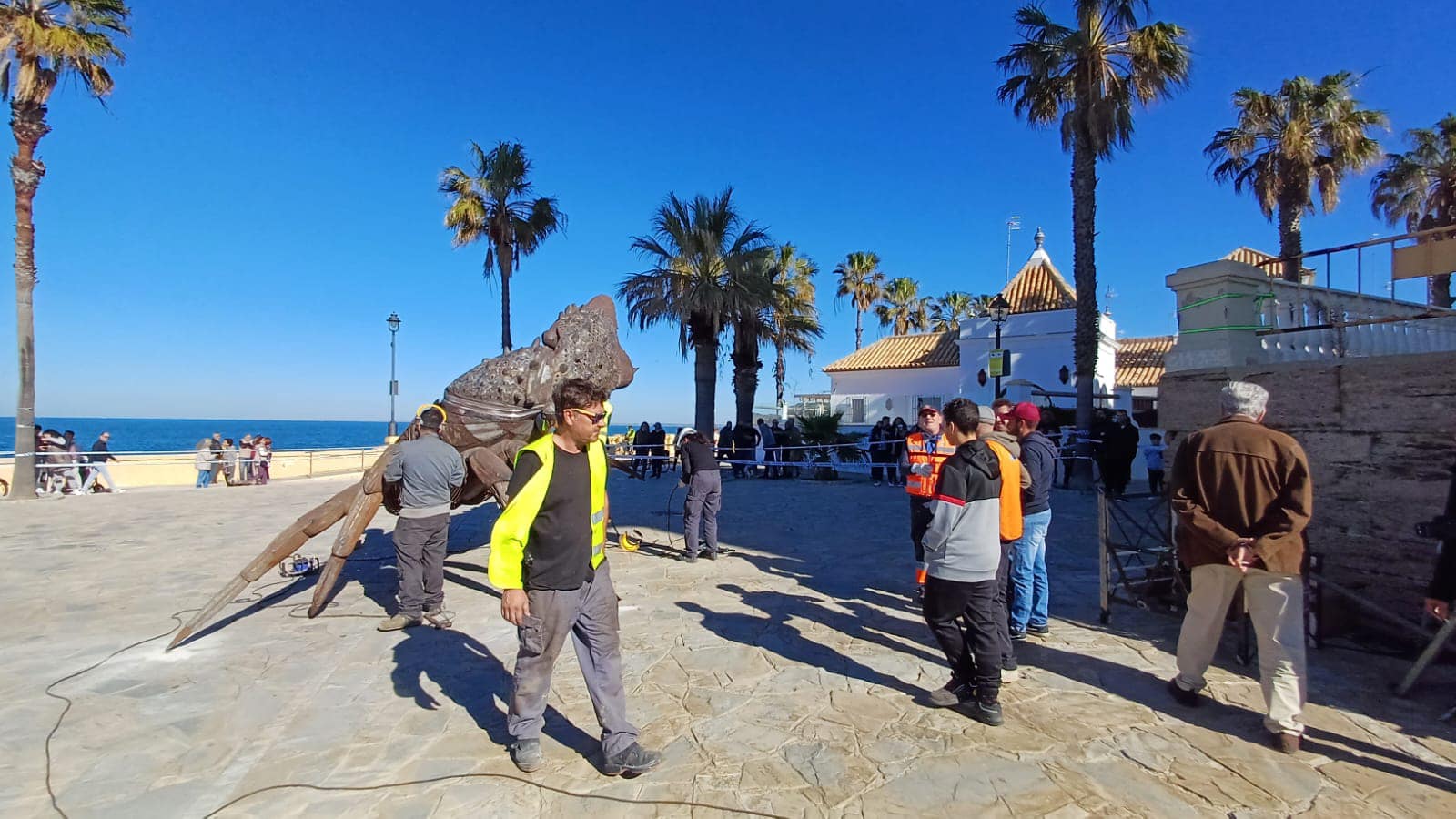 El cangrejo gigante que ha llegado a Chipiona