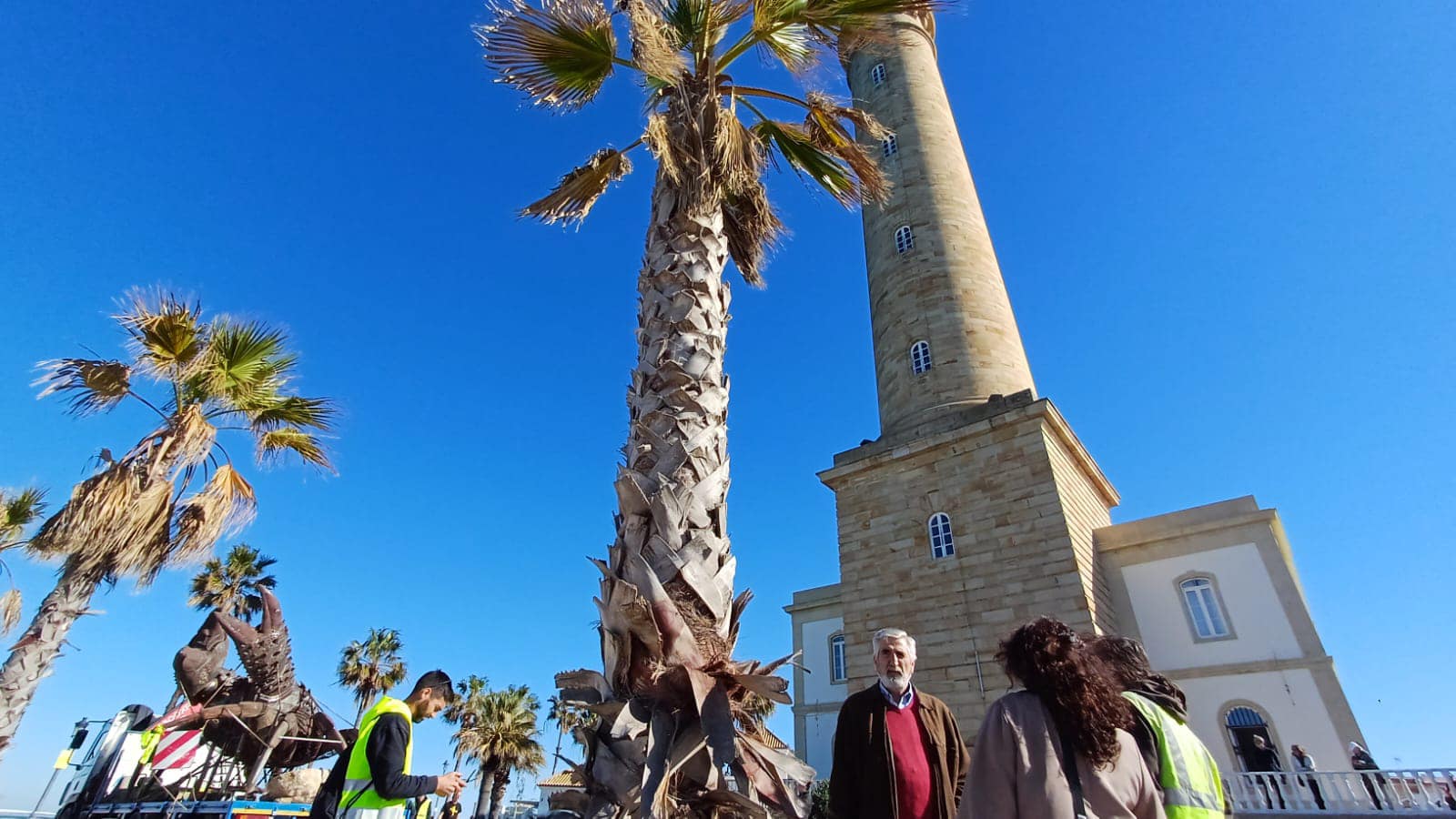 El cangrejo gigante que ha llegado a Chipiona