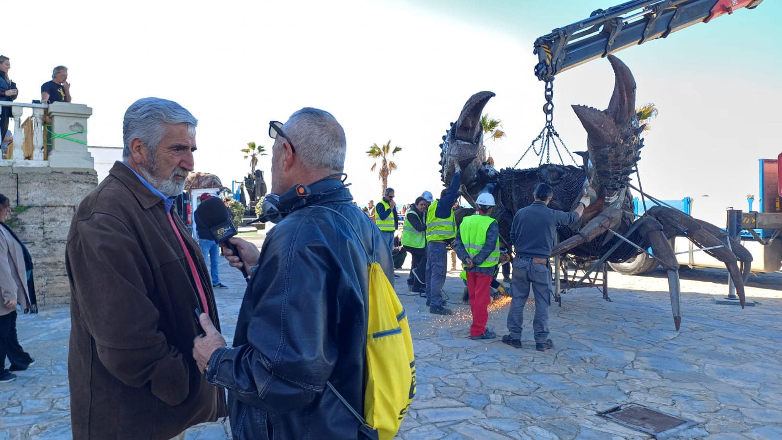 El cangrejo gigante que ha llegado a Chipiona