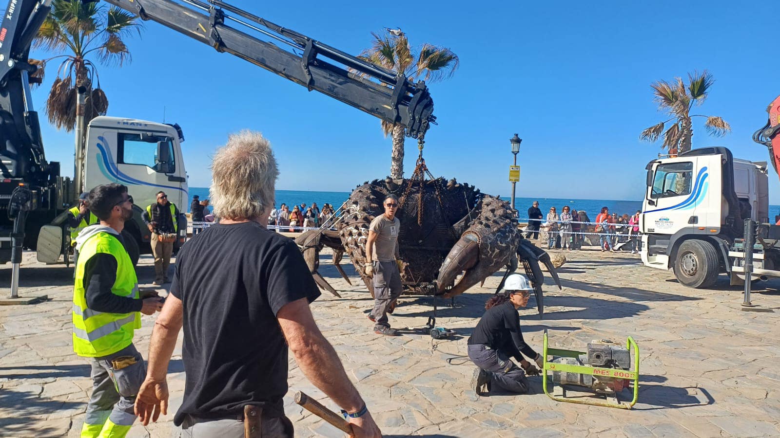 El cangrejo gigante que ha llegado a Chipiona