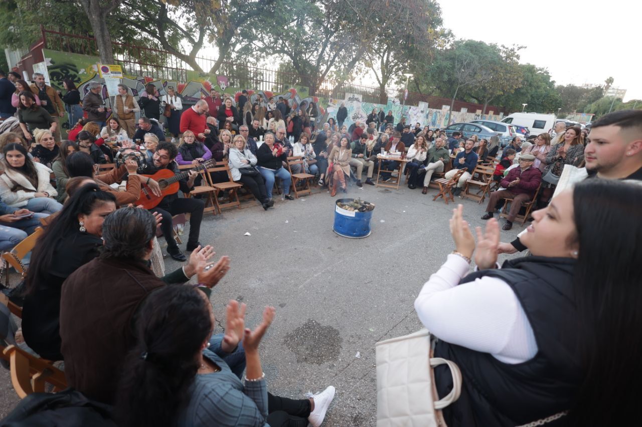 photo 5985684582730678199 y