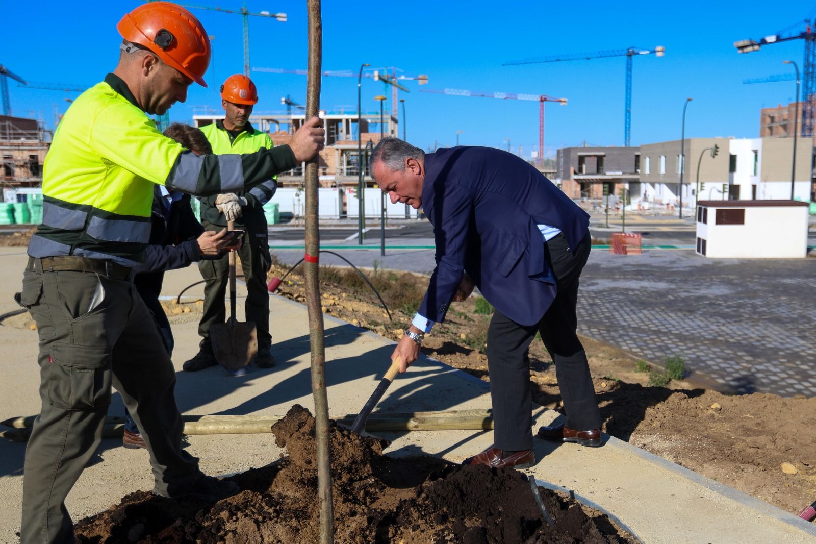 El alcalde de Sevilla, José Luis Sanz, en la plantación de un árbol en un alcorque.