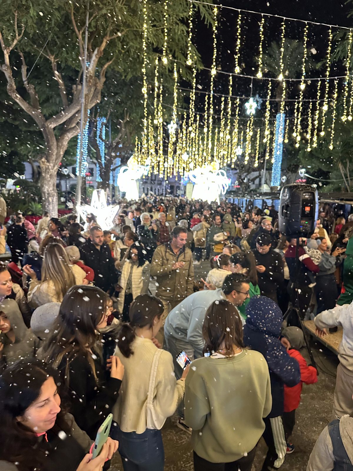 El inicio de la Navidad en San Roque en la noche del alumbrado.