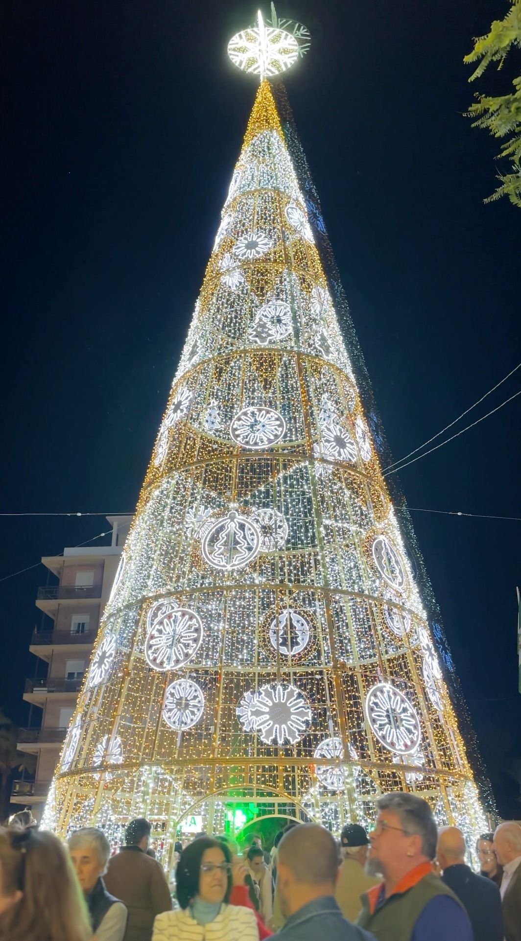 El inicio de la Navidad en San Roque en la noche del alumbrado.