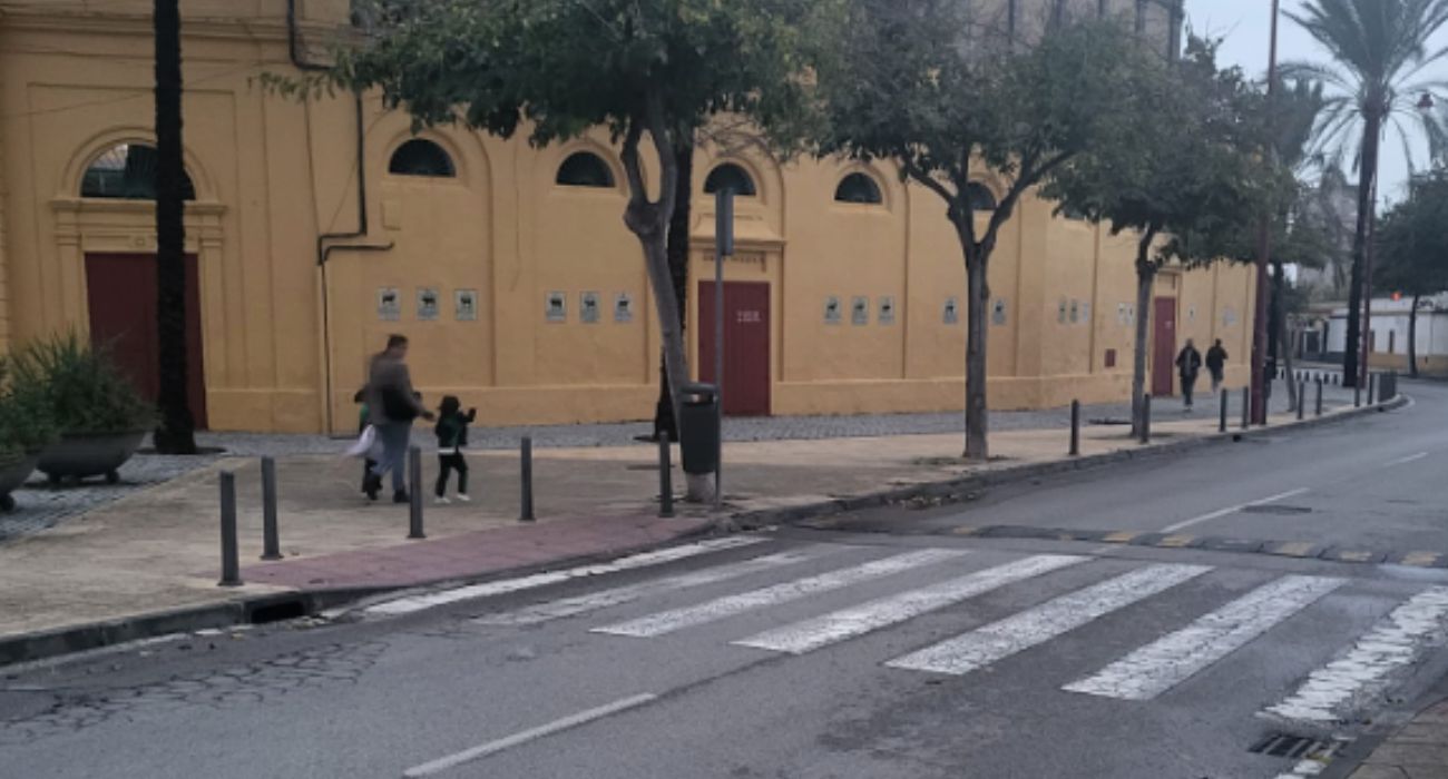 Paso de peatones donde una conductora ha estado a punto de atropellar a una menor en Jerez.