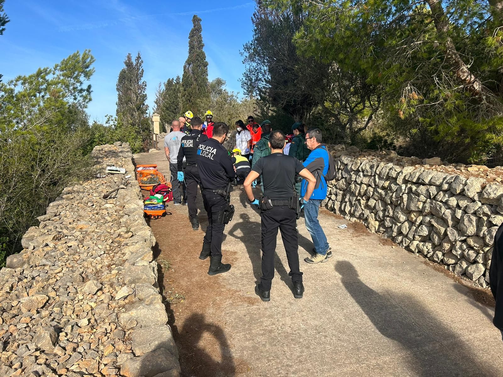 Intervención tras el ataque de los perros en este municipio de Mallorca, en una imagen del Ayuntamiento de Felanitx.