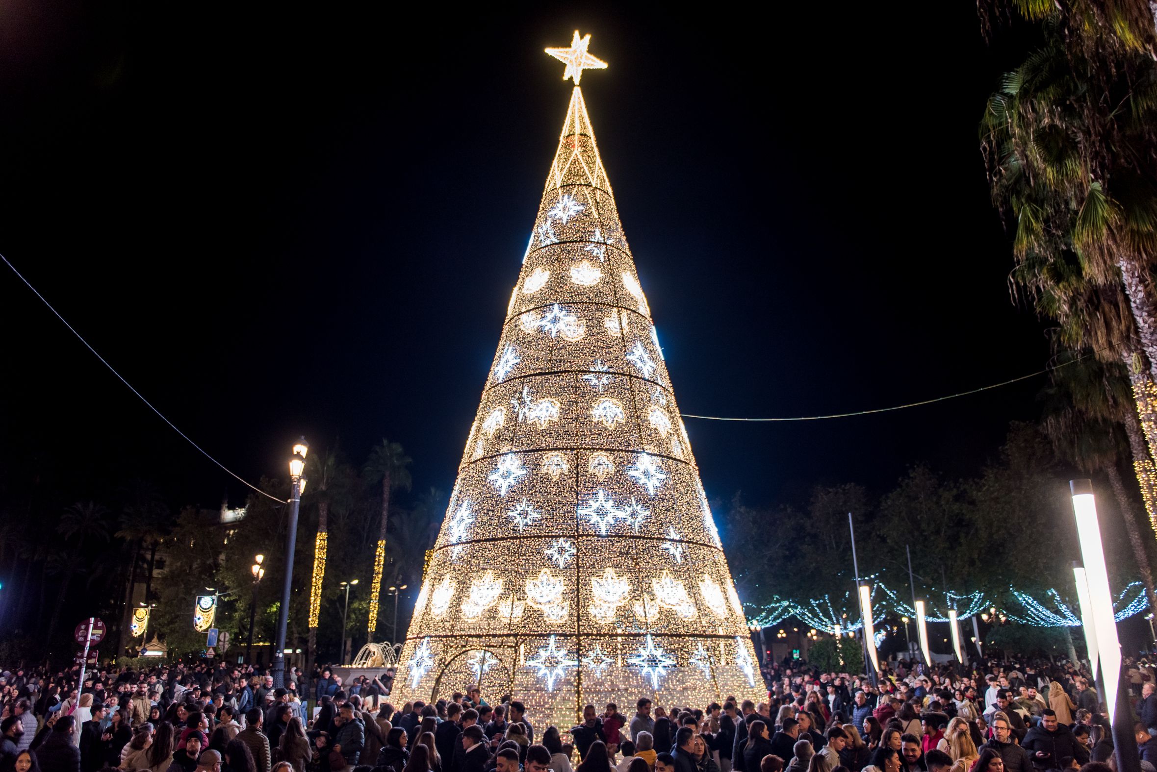 Árbol de Puerta Jerez