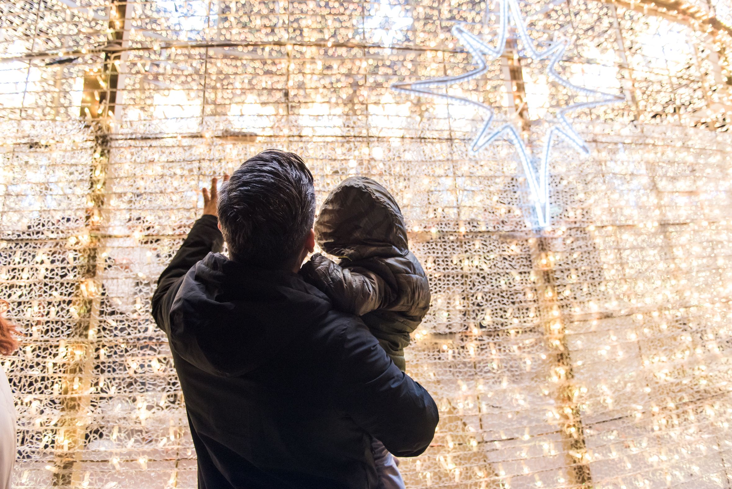 Un padre y su hijo, en el árbol de Puerta Jerez