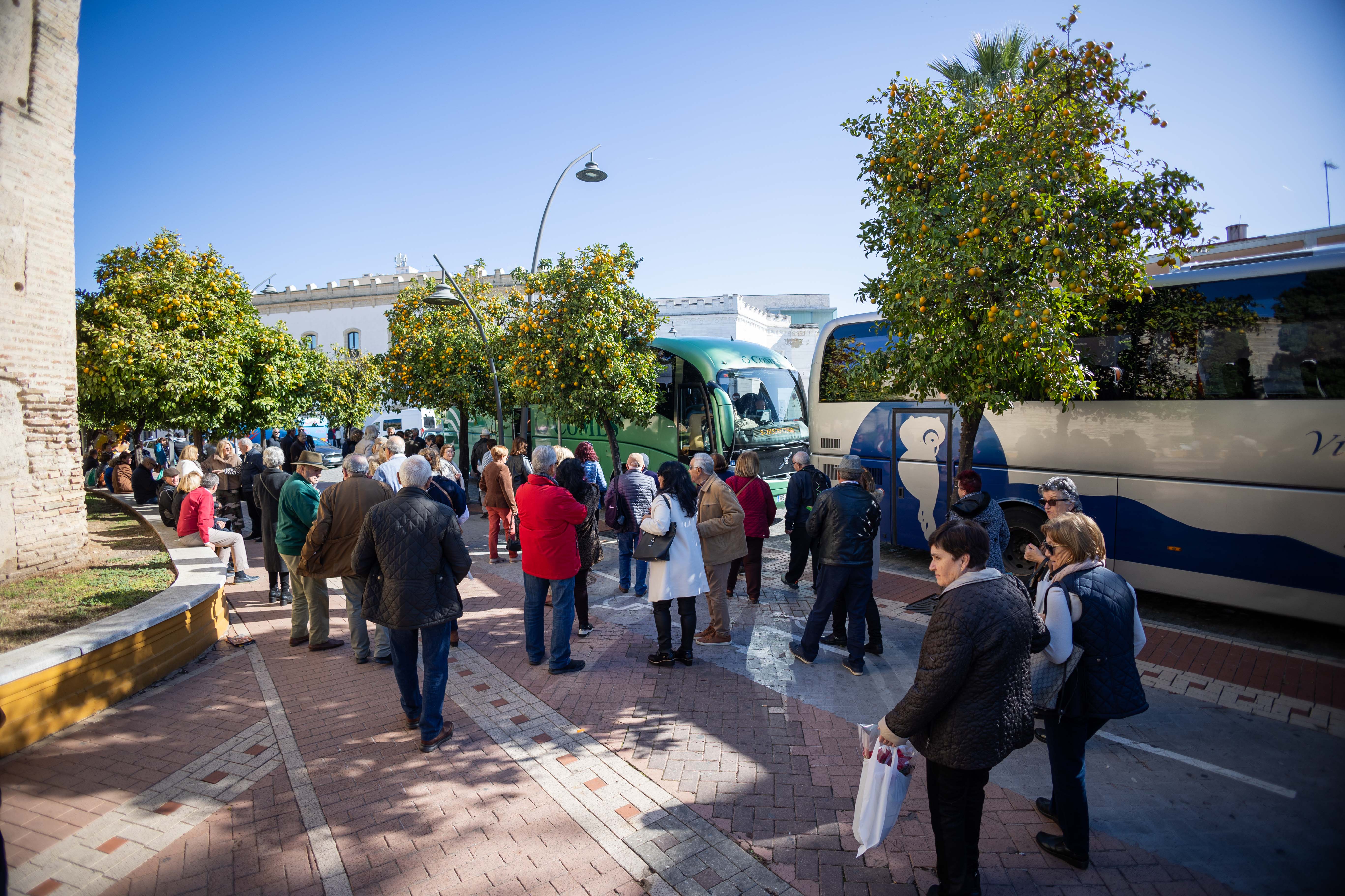 Llegada de personas en autobús para ver las Zambombas
