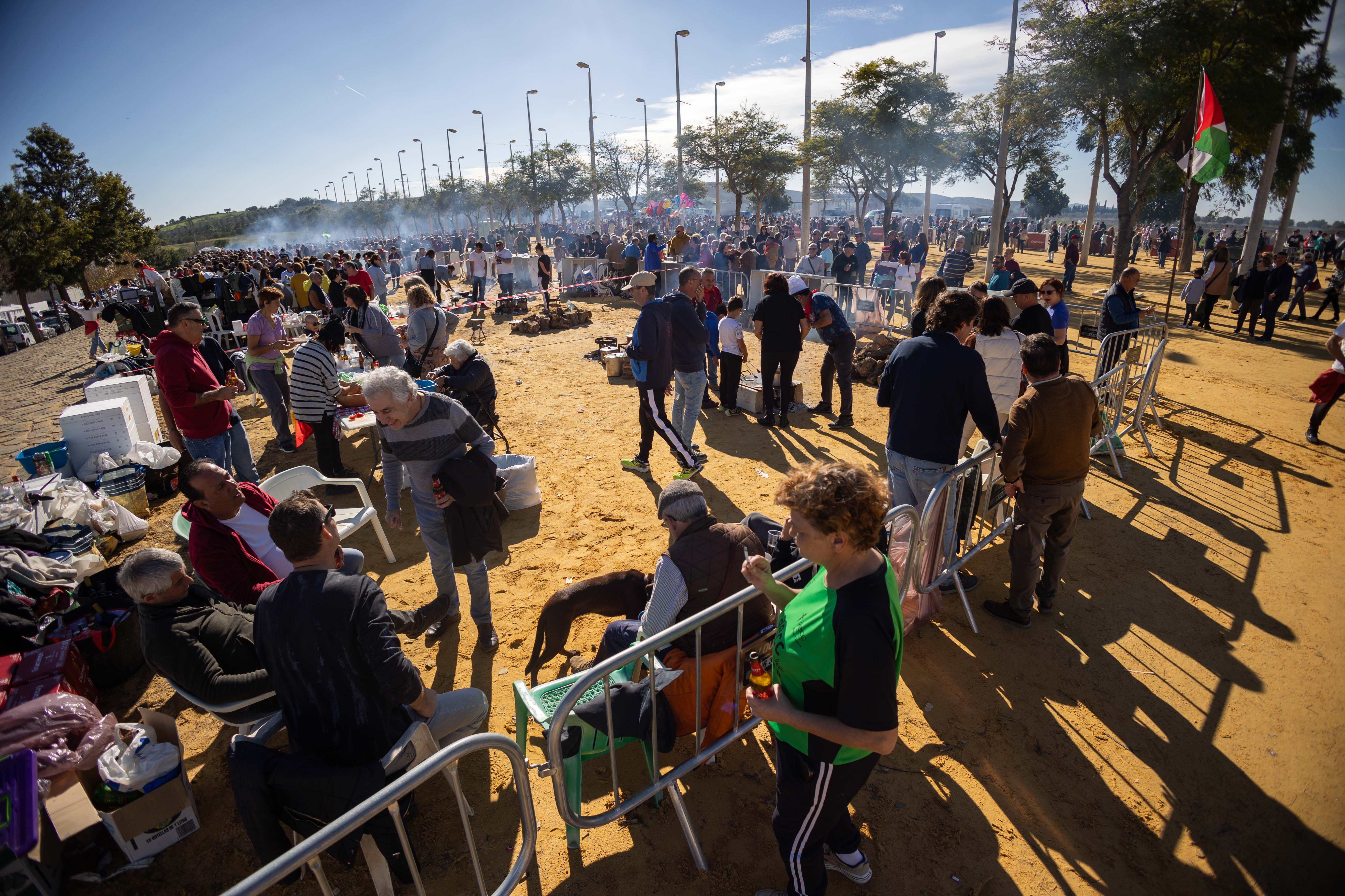 Los garbanzos como conejos de 2023