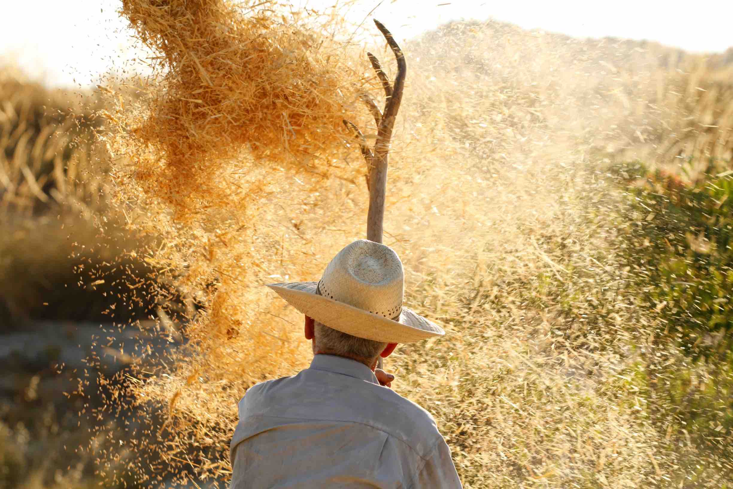 Ablentar. FOTO: Mari Carmen Garcia Moreno.