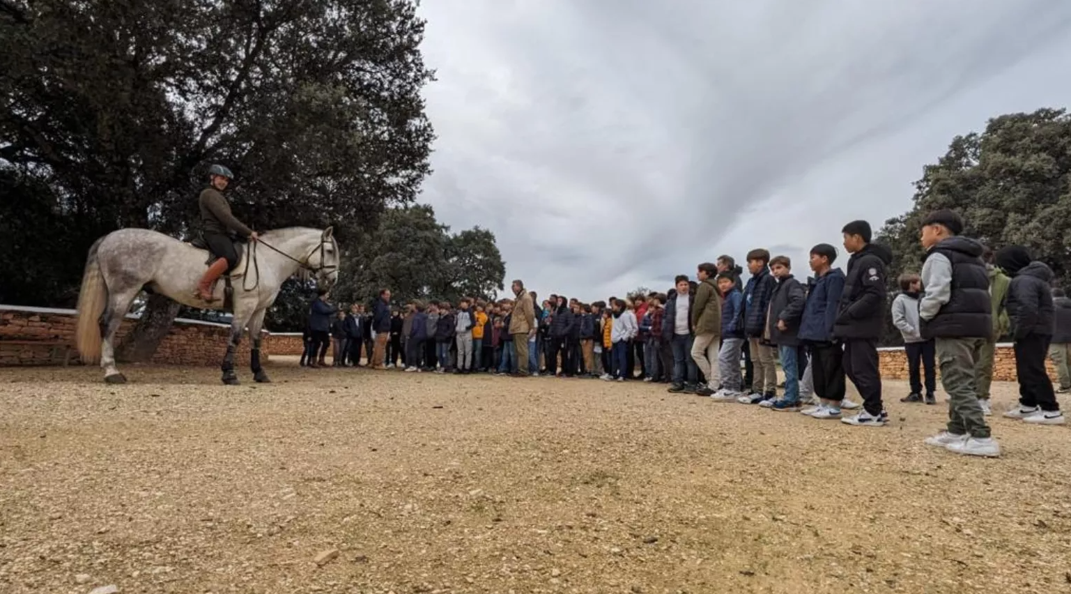La visita de alumnos a una ganadería de tauromaquia, en una imagen difundida por la Diputación de Málaga.
