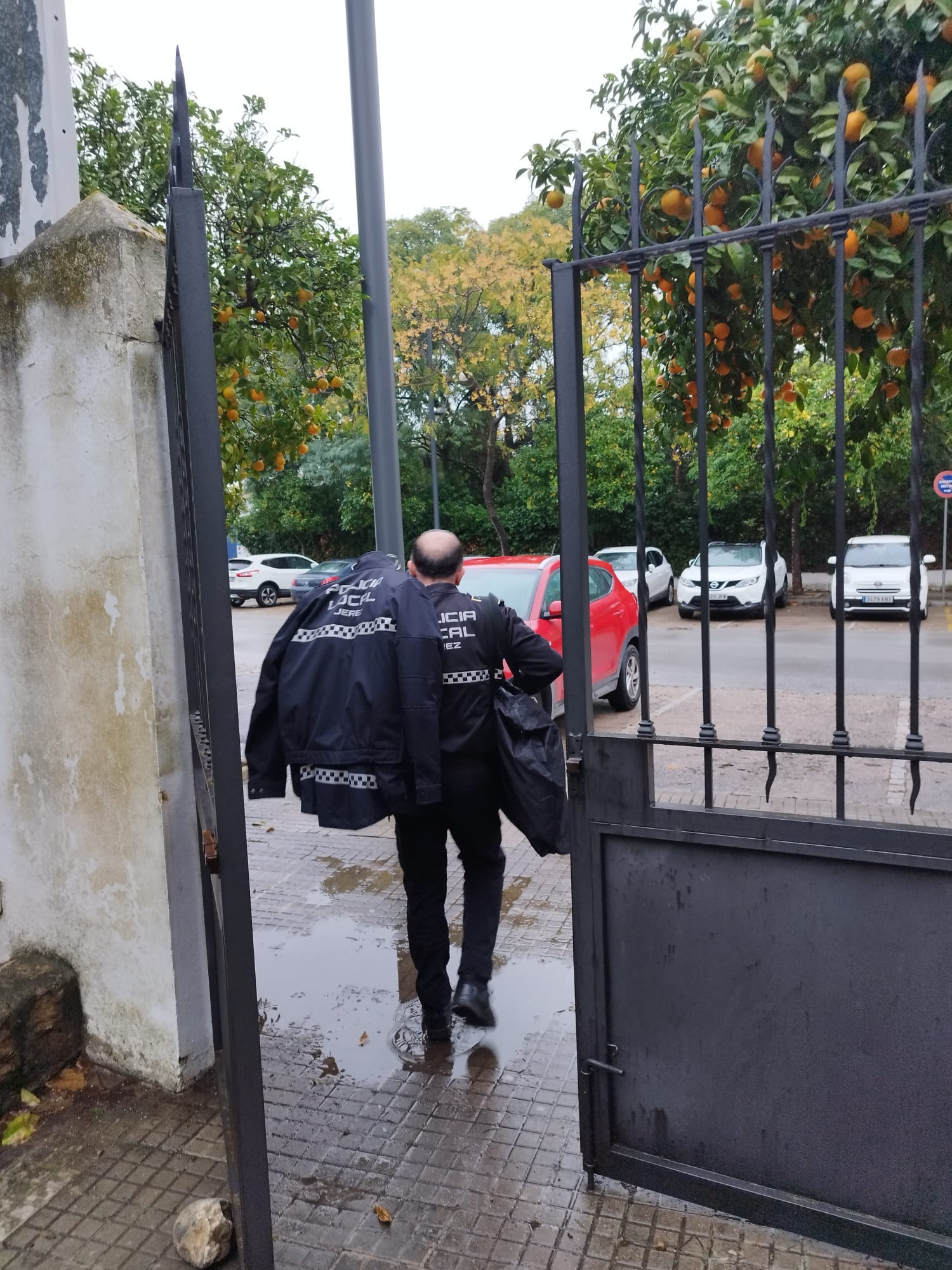 408279064 750274700460747 5563771824117775702 n