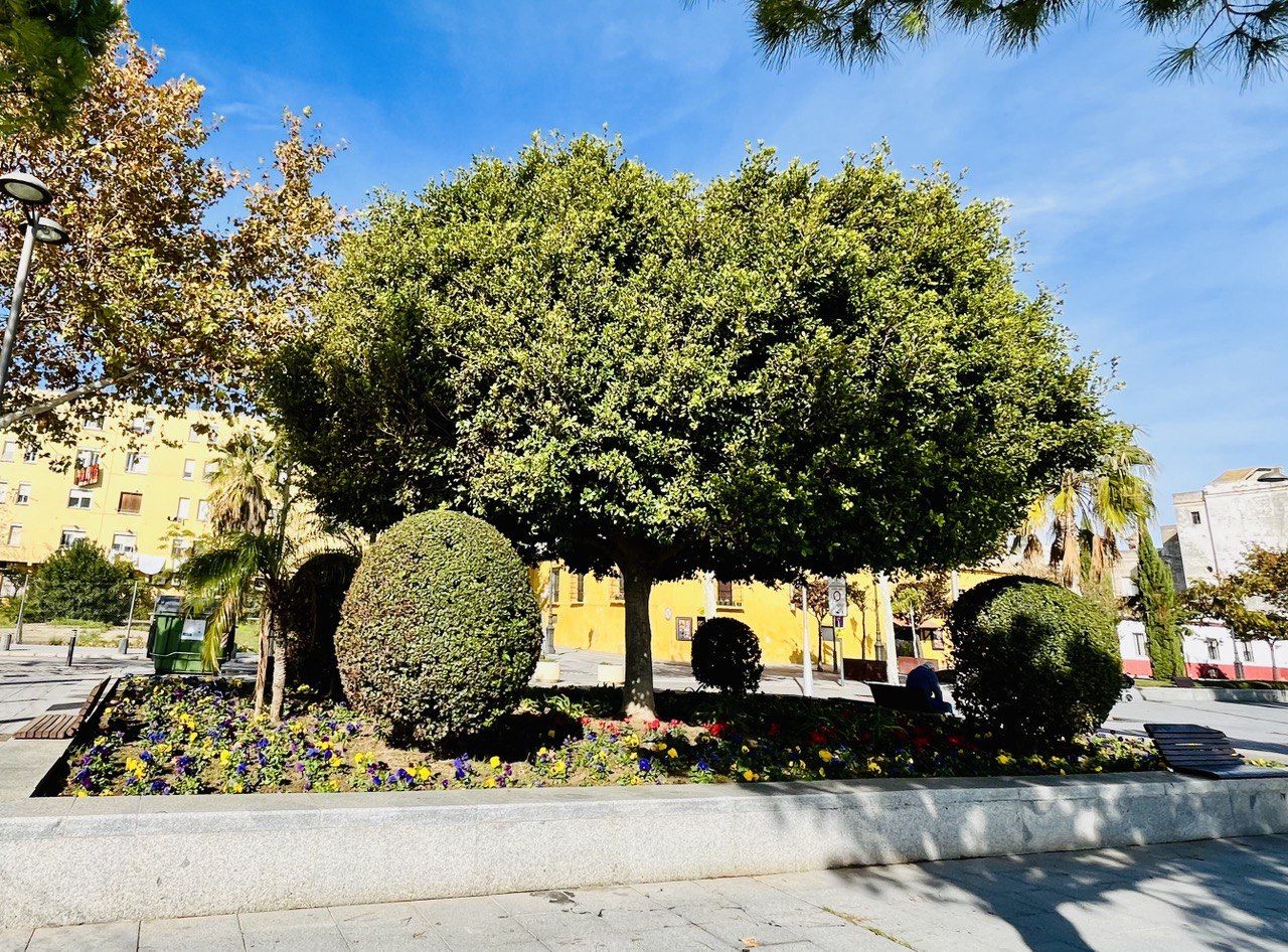 Zonas verdes en la Bajamar en El Puerto. Zonas verdes en la Bajamar en El Puerto.
