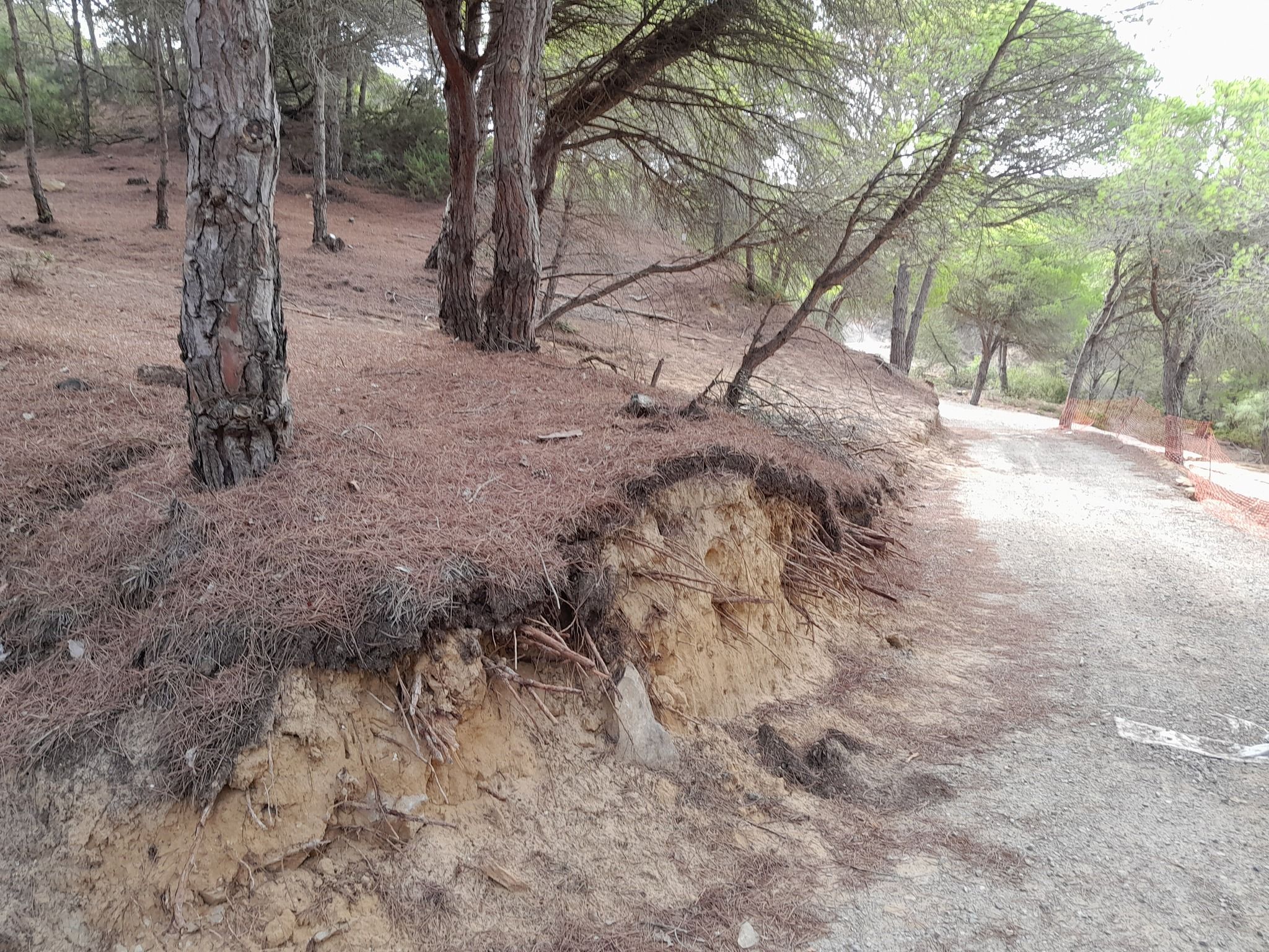 Imagen tomada por el grupo ecologistas con los daños causados por las obras en el parque natural.