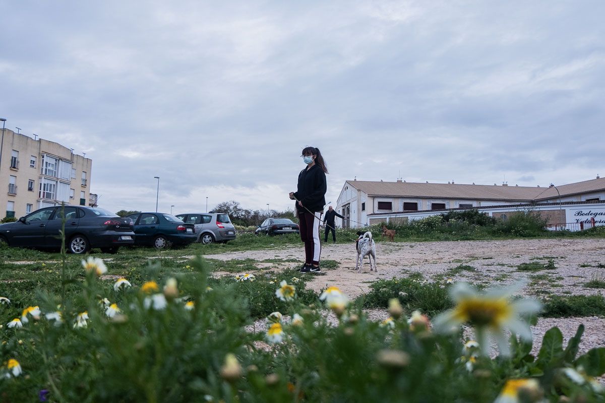 Una chica paseando a un perro durante la cuarentena. FOTO: CANDELA NÚÑEZ
