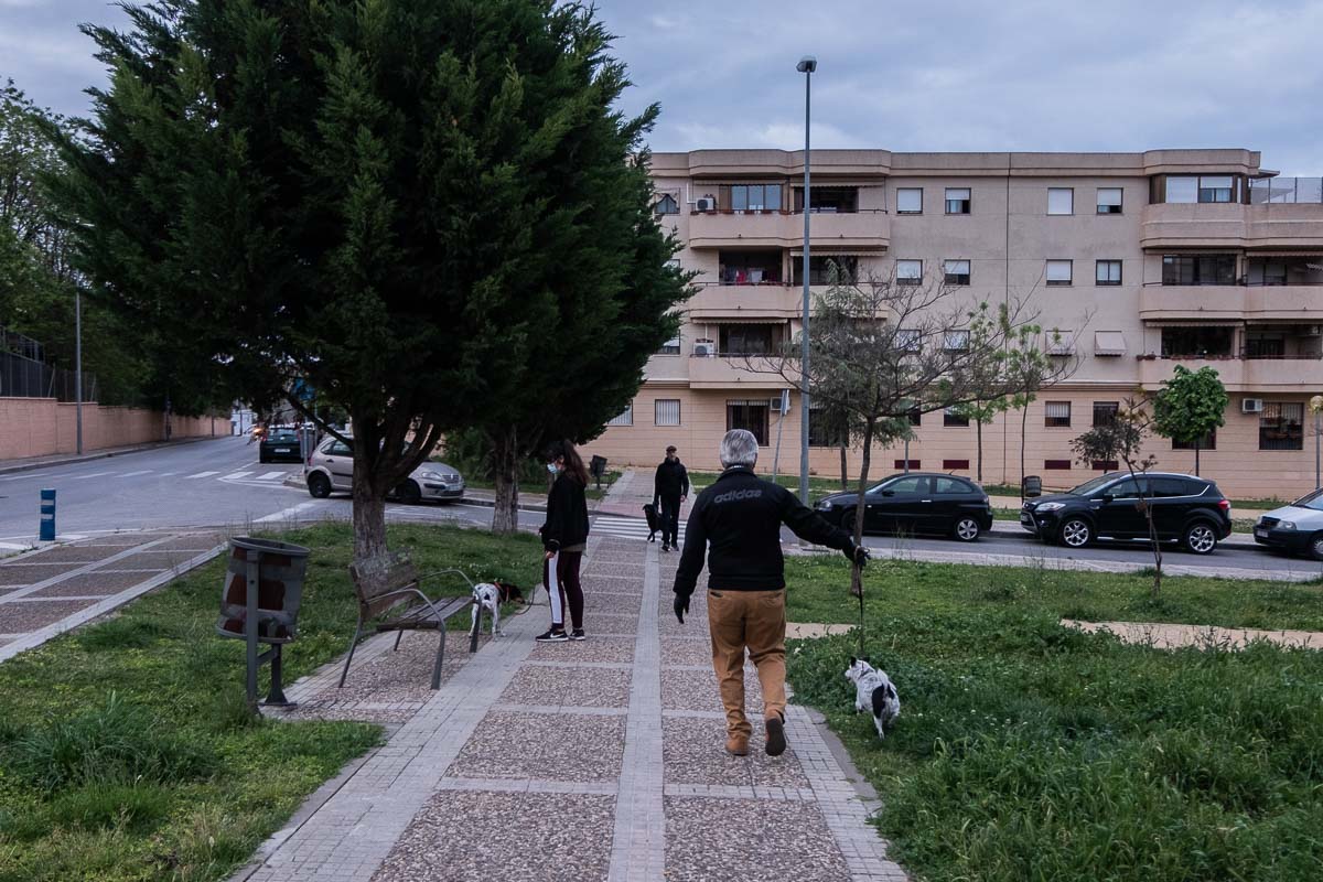 Gente paseando a sus perros, en una imagen de archivo. FOTO: MANU GARCÍA