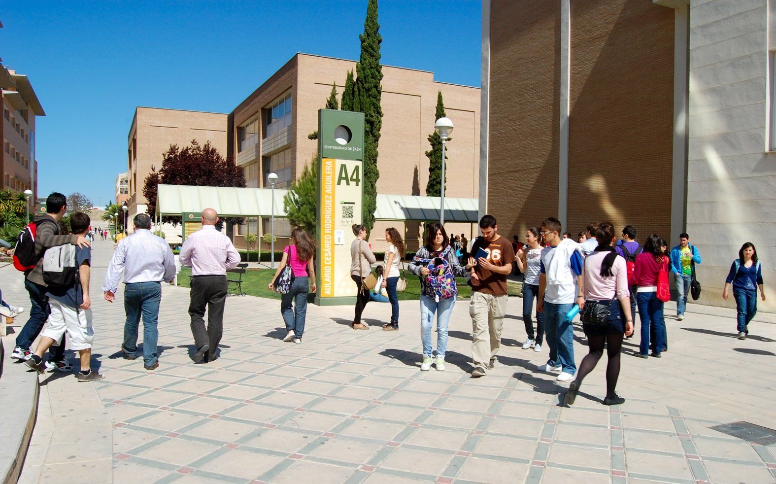 Estudiantes en el campus de la Universidad de Jaén, en una imagen de archivo.