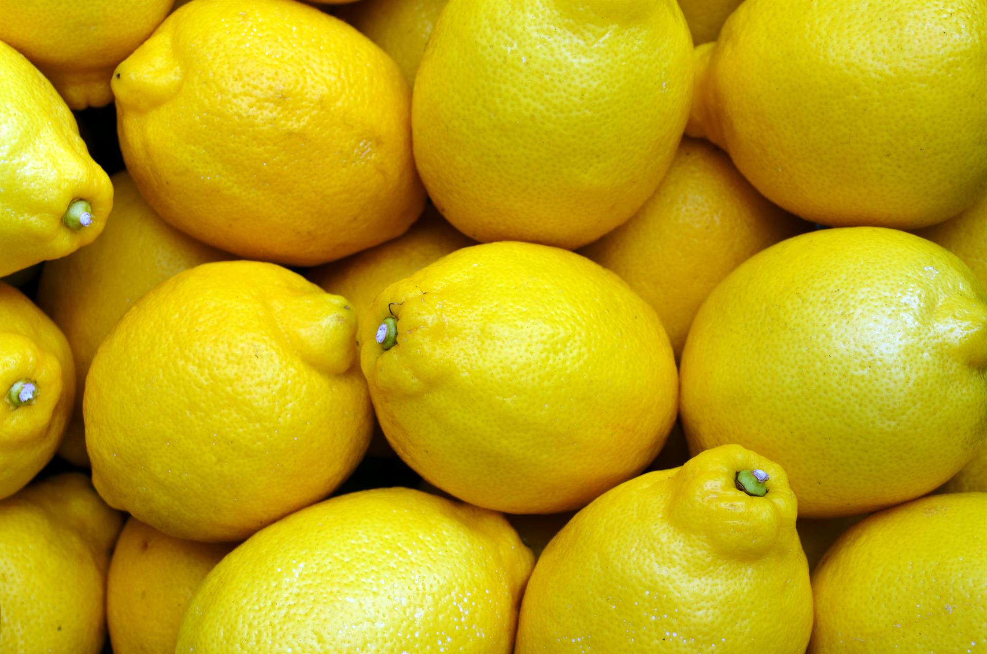 Variedad 'Verna' de limones - Mercadona