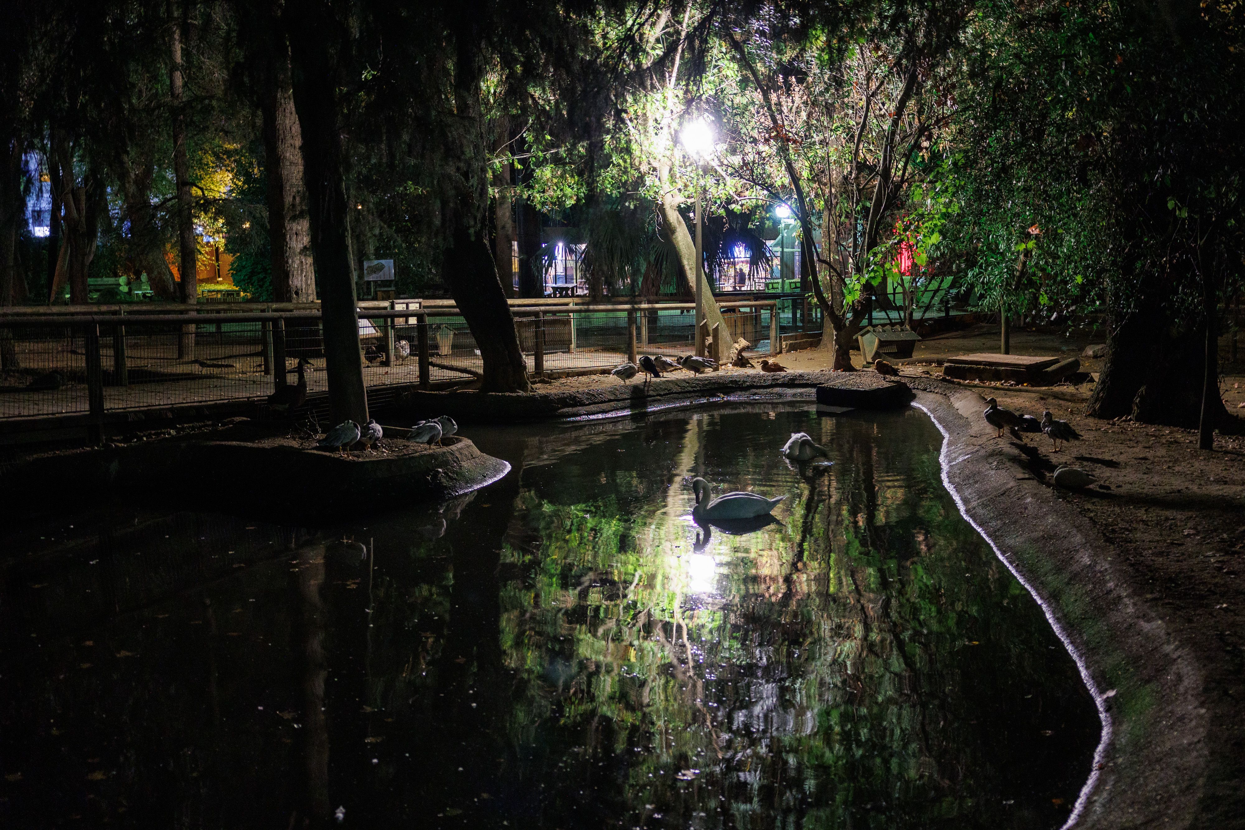 Paseo nocturno por el Zoo de Jerez.