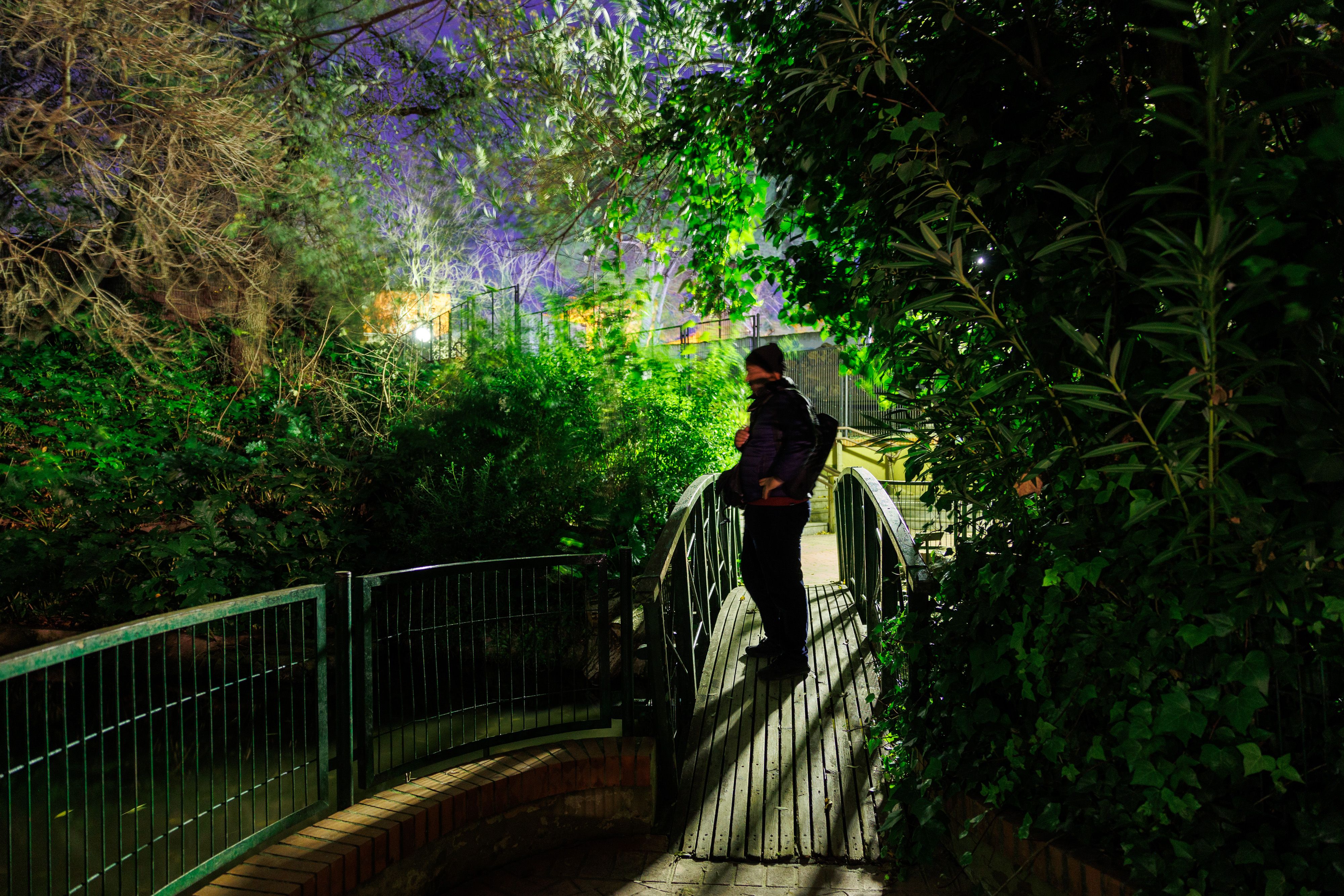 Una de las zonas iluminadas del zoo.
