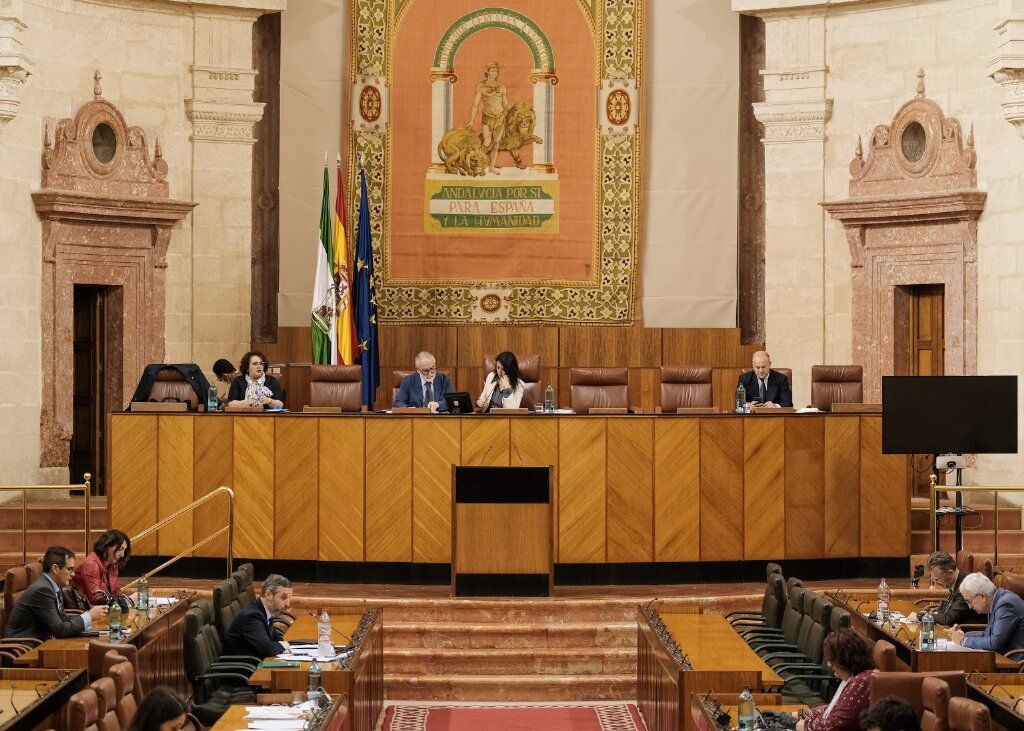 Diputación permanente, hace unos días, en el Parlamento andaluz. FOTO: PARLAMENTO DE ANDALUCÍA