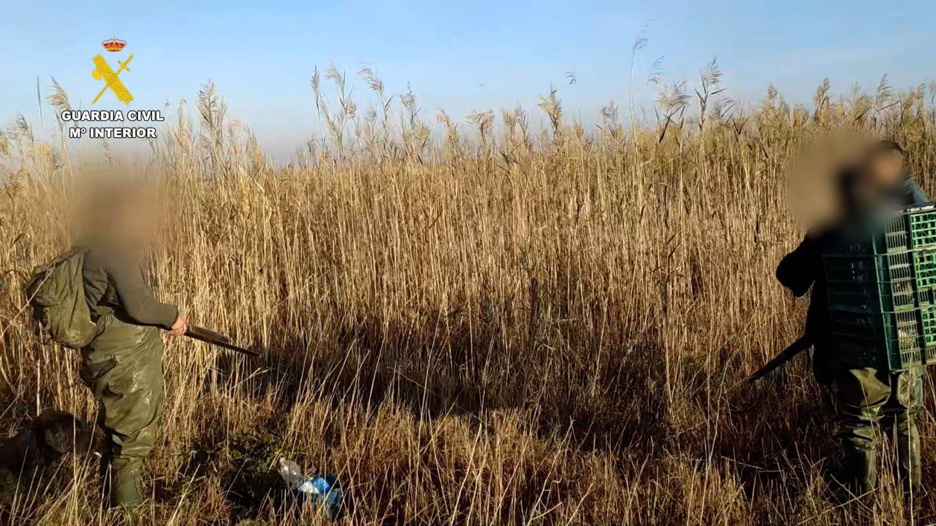 Momento en el que la Guardia Civil sorprende a los cazadores de patos en Doñana.