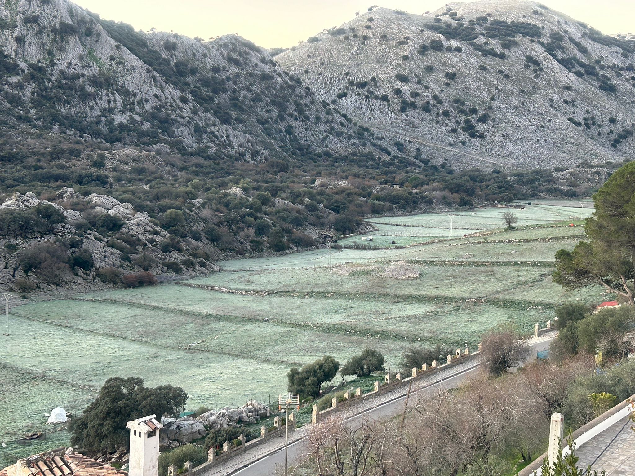 El pueblo de Cádiz que ha amanecido con un "manto blanco" y 5 grados bajo cero.