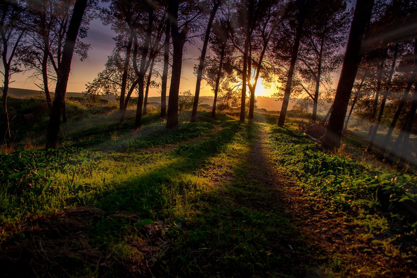 Vista espectacular del parque de Las Aguilillas, en una imagen de Paco Rosado.