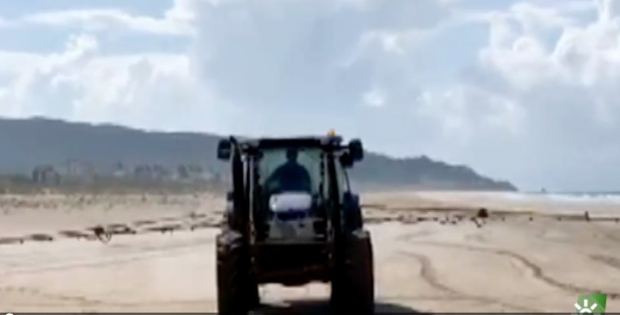Un tractor, fumigando con lejía una playa de Zahara de los Atunes. IMAGEN: CANAL SUR