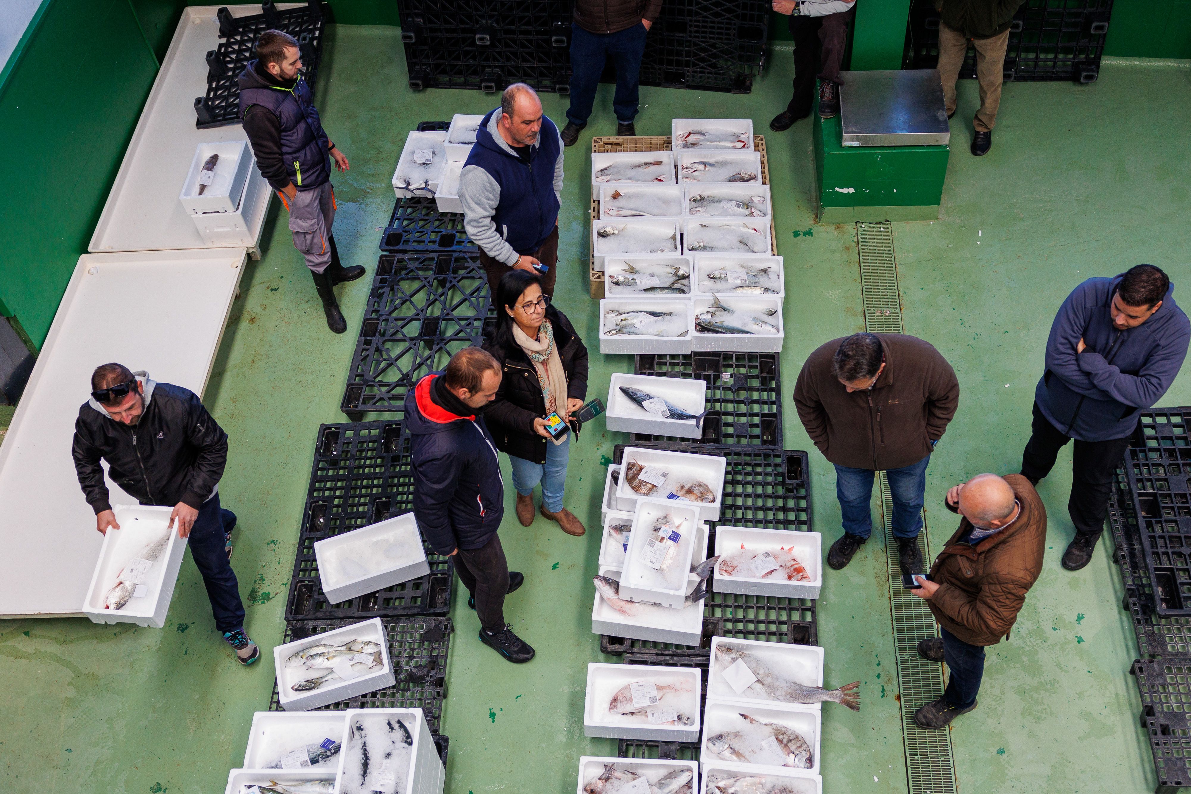 mujeres lonja chipiona 16