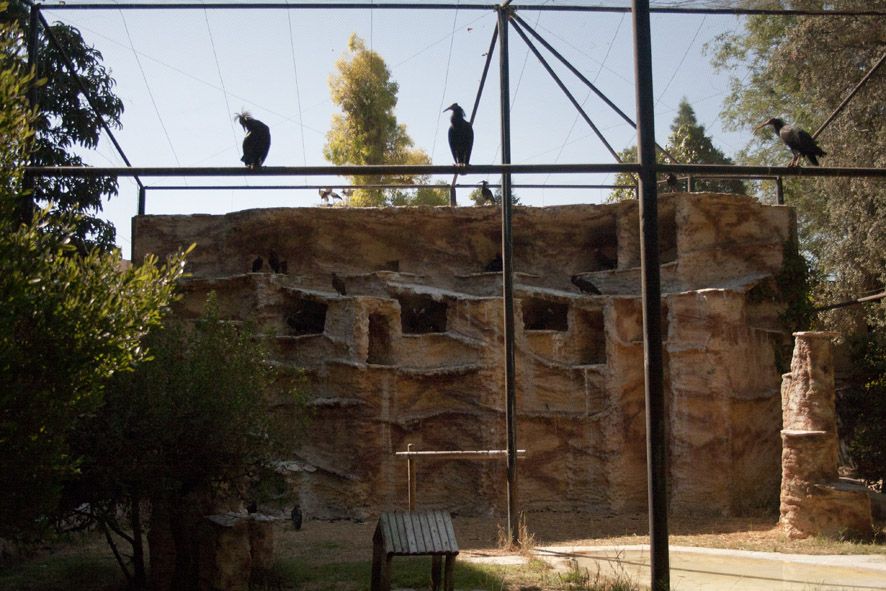 Aves en el Zoo de Jerez, en una imagen de archivo.