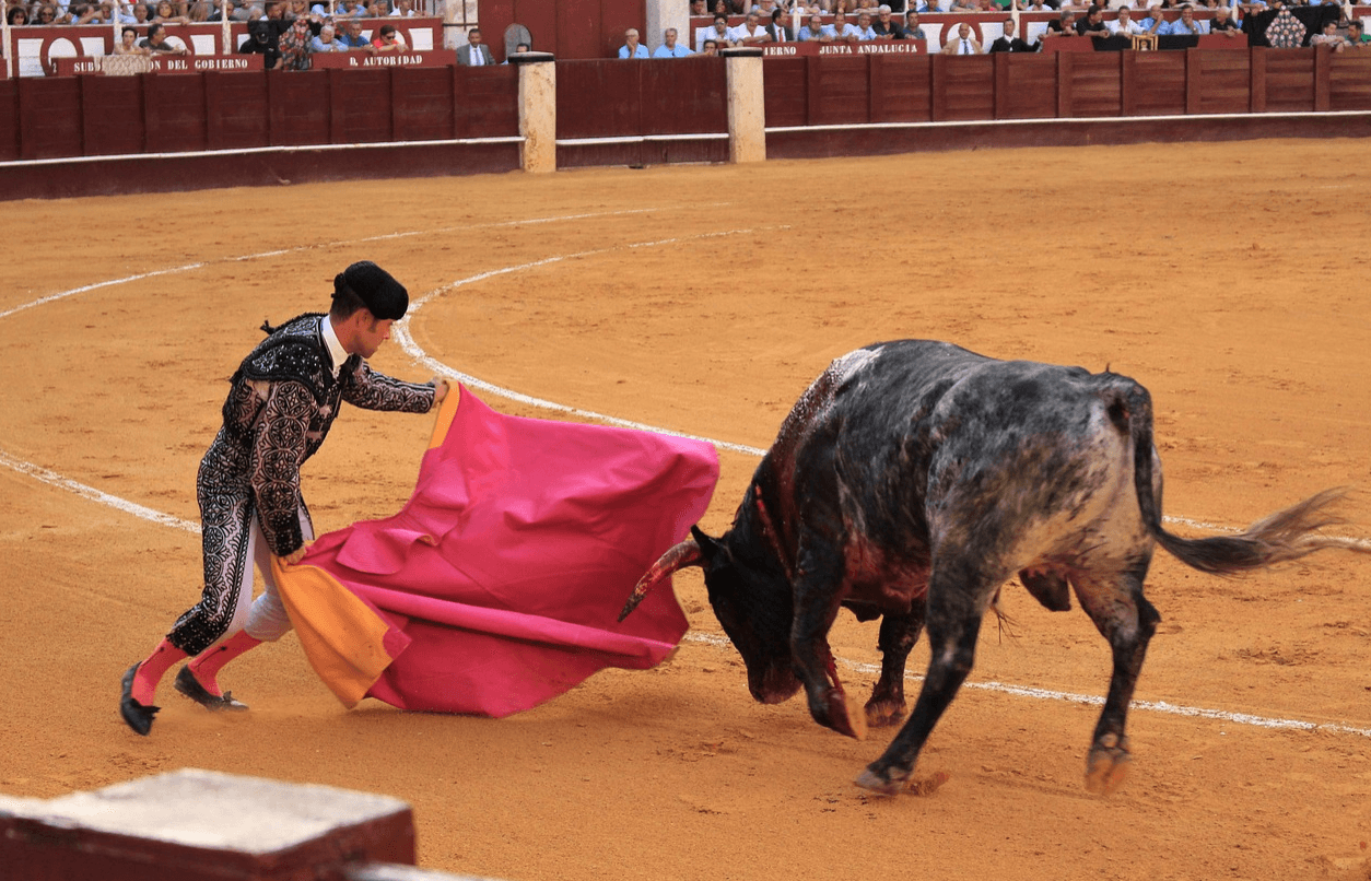 Un torero, durante un festejo taurino, en una imagen de archivo.