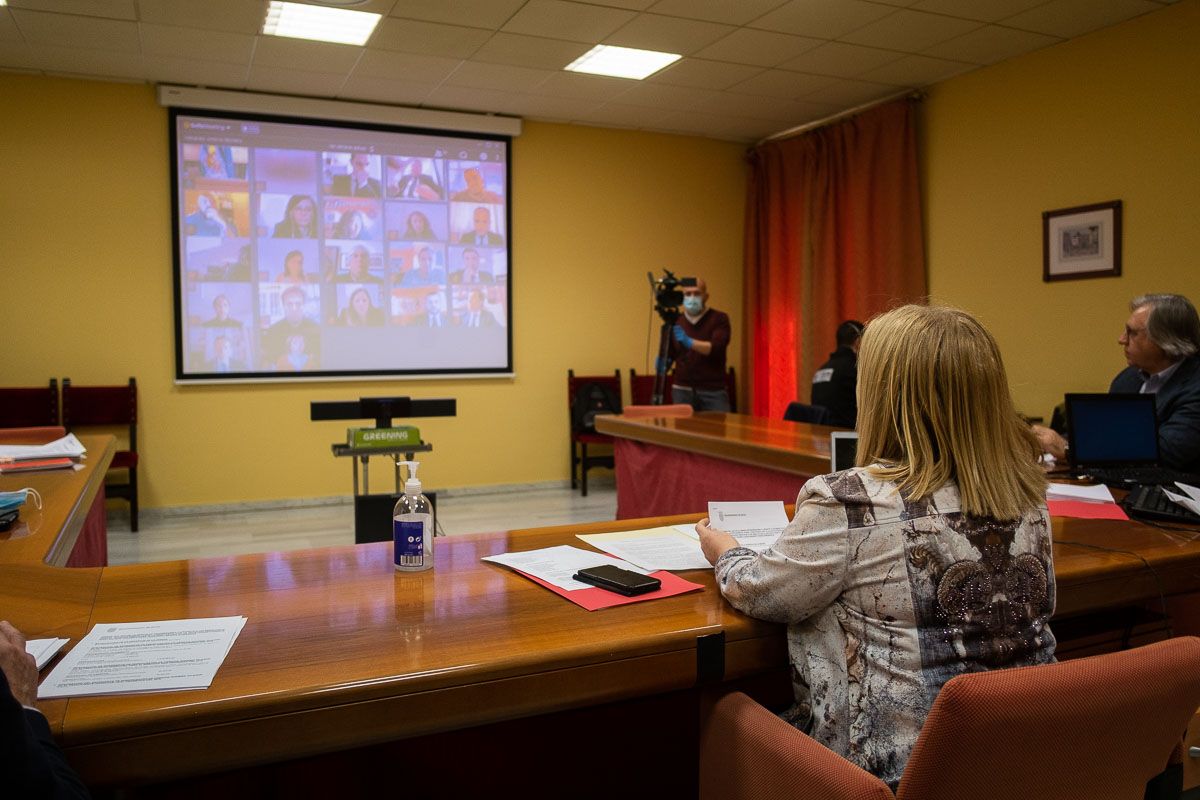 La alcaldesa Mamen Sánchez, con los concejales de la Corporación por videoconferencia, durante el pleno telemático. FOTO: MANU GARCÍA