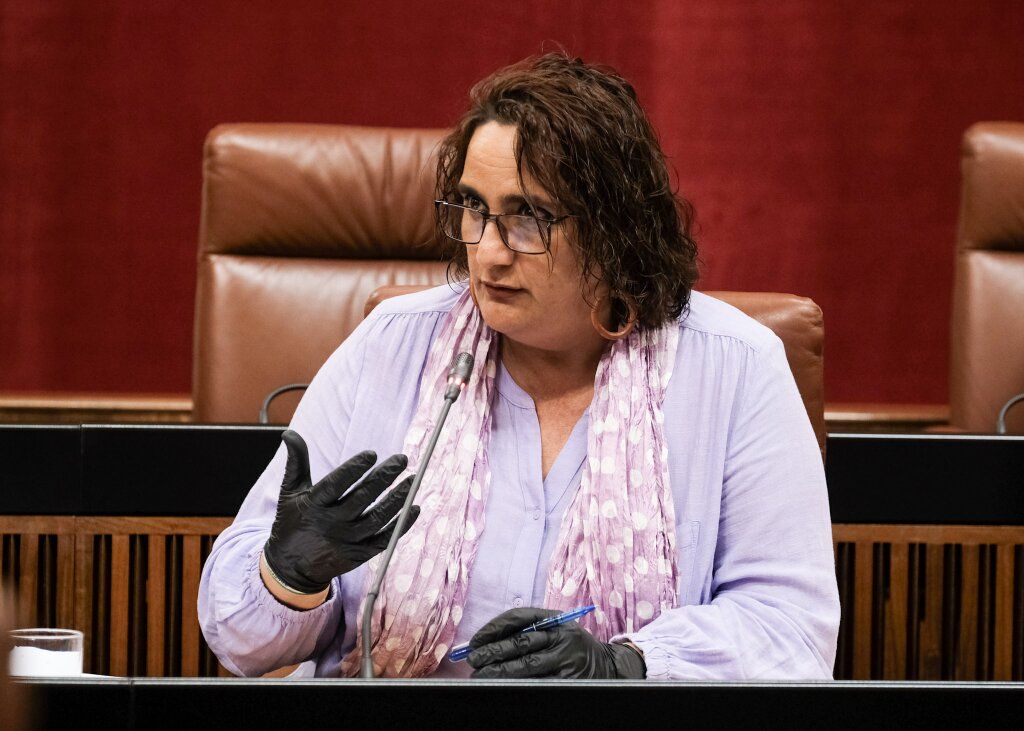 Aguilera, el pasado viernes en el Parlamento andaluz. FOTO: PARLAMENTO
