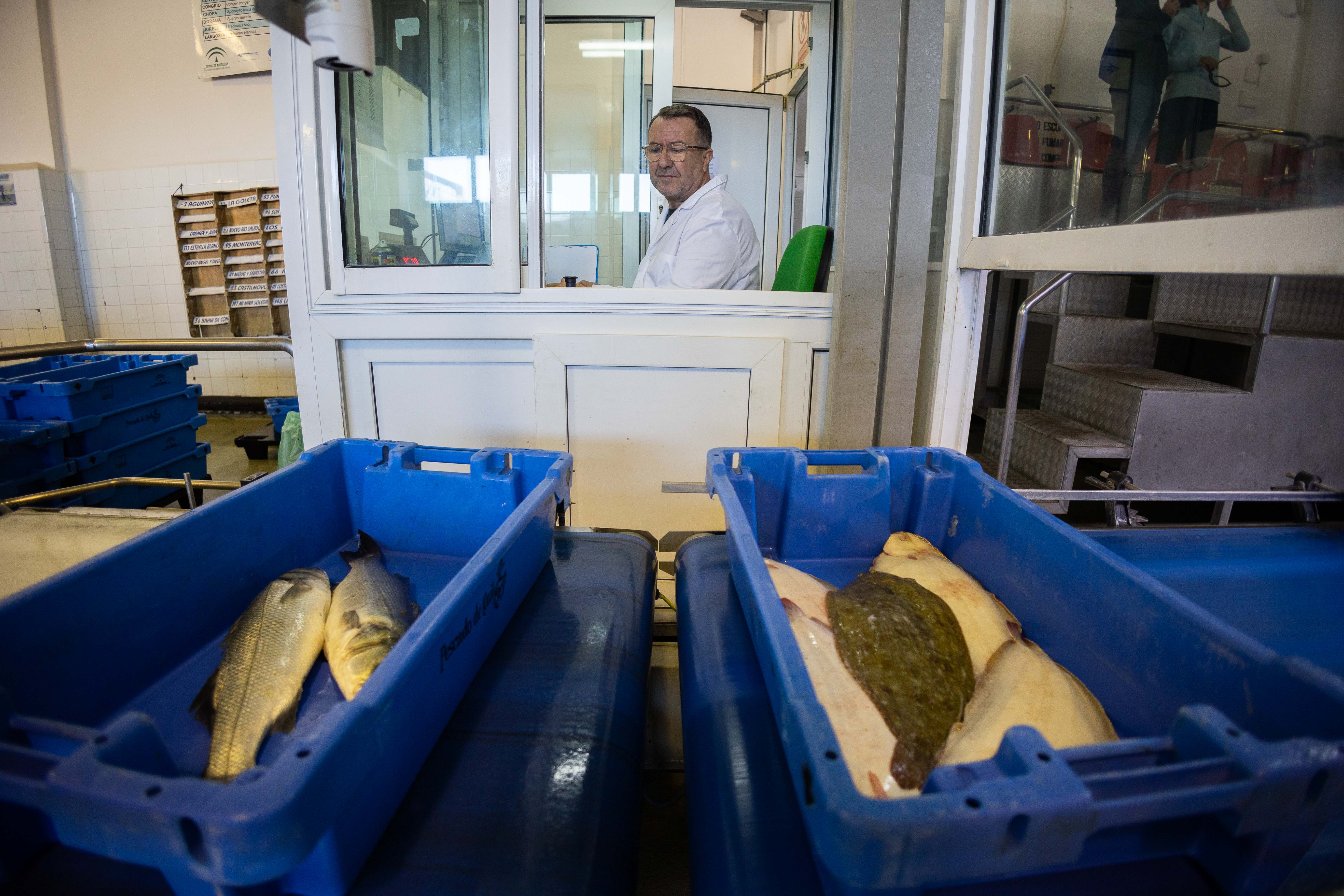 Barómetro de Centra: muchos andaluces refieren que no pueden comprar pescado fresco. En la imagen, la lonja de Conil.