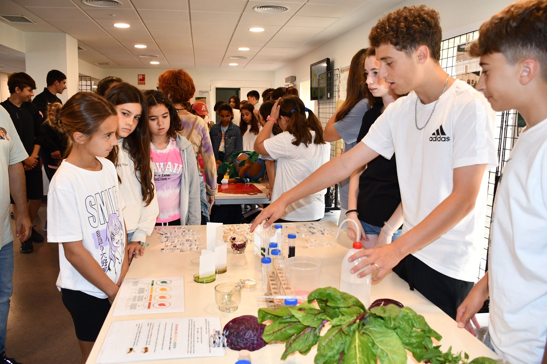 Mejora en los programas de Educación Ambiental de la Diputación, que se dotan con 156.000 euros. Imagen de archivo de un encuentro de Huertos Escolares. 