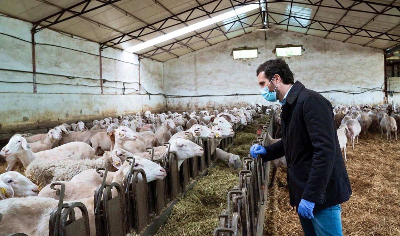 Pablo Casado, en una visita a una granja.