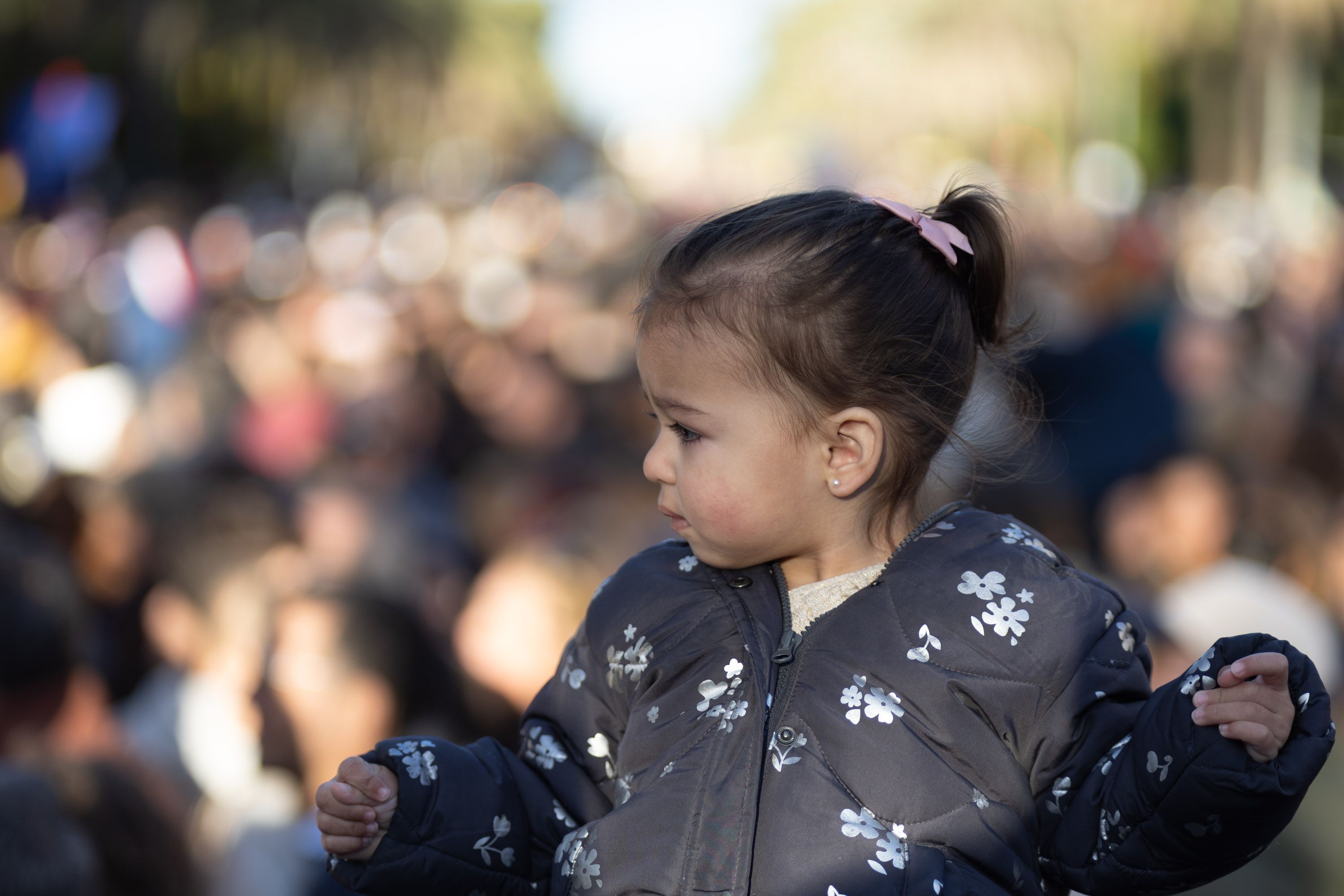 Cabalgata de Reyes 2024 en Jerez 