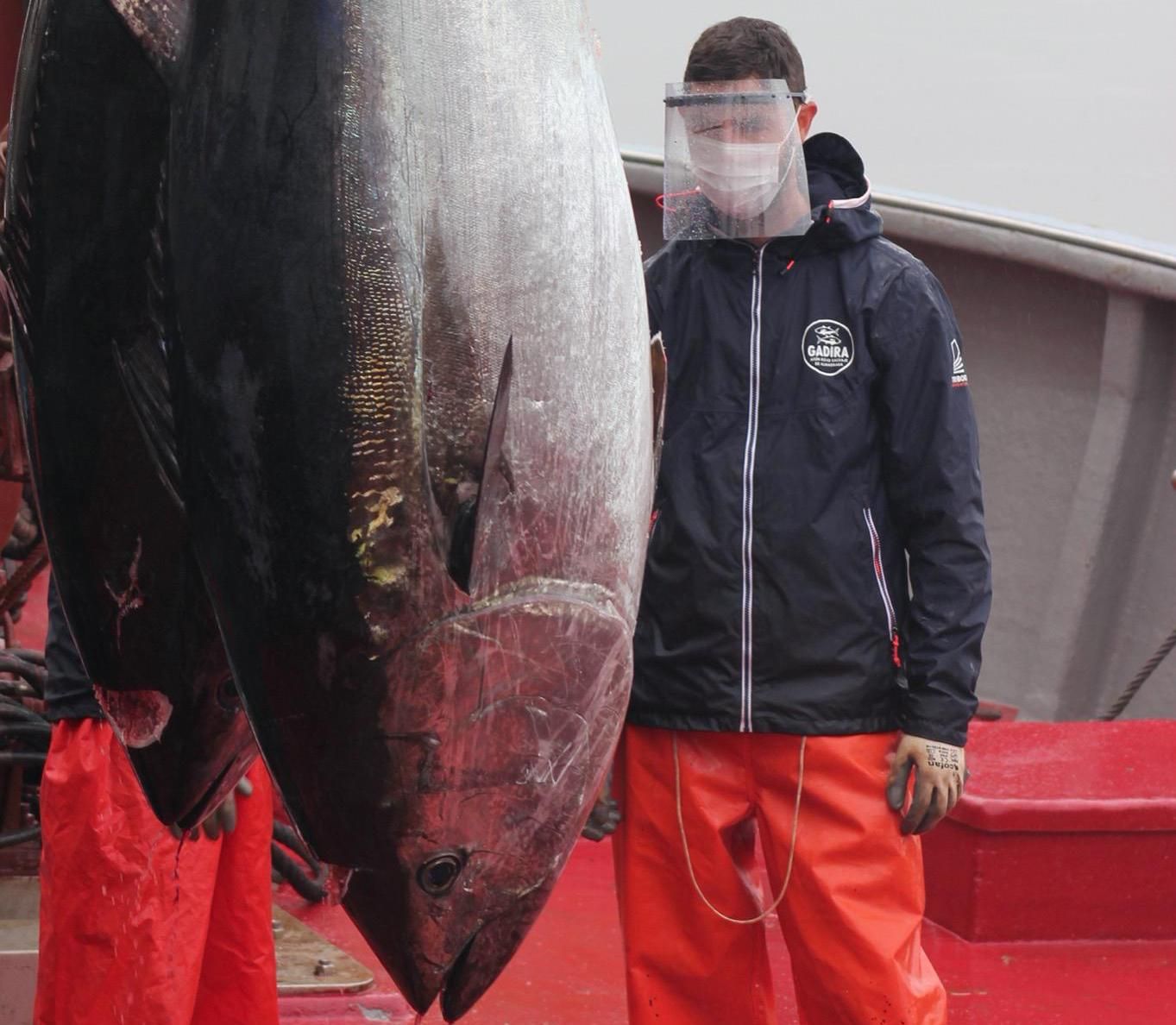 Enorme ejemplar tras una 'levantá', en días pasados, en Zahara.