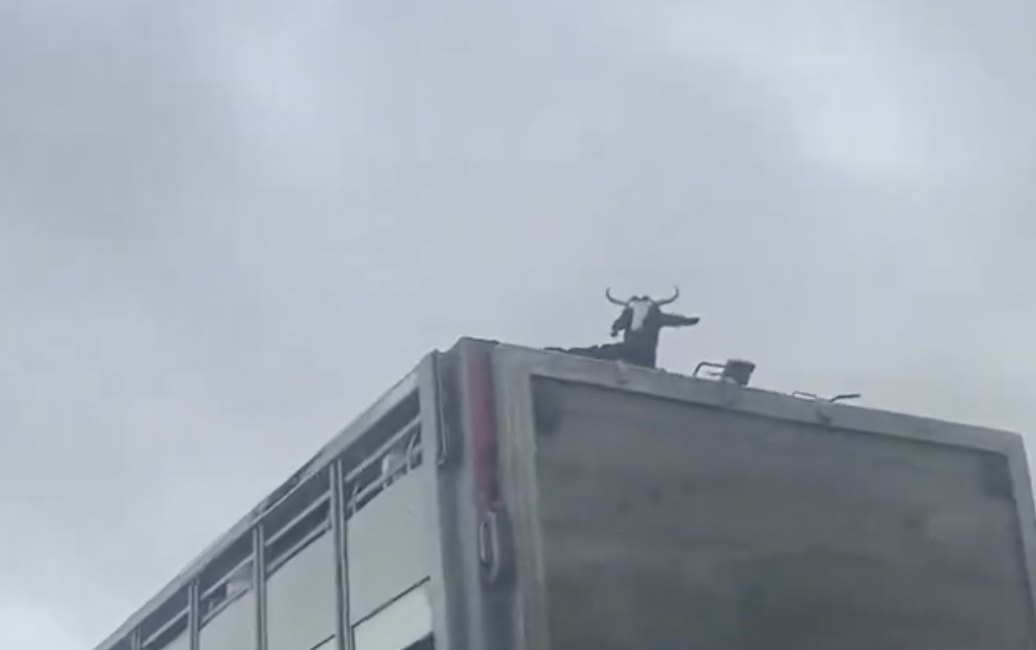 Cuando la Guardia Civil sostiene los techos de sus coches con chinchetas