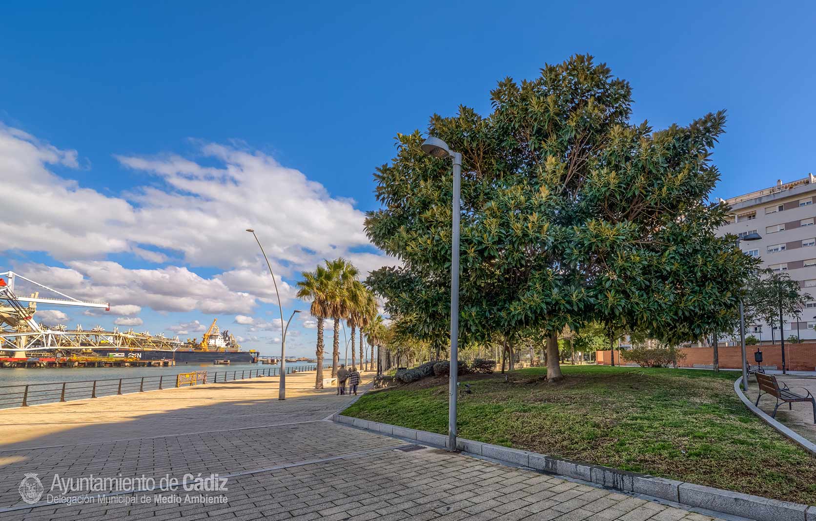 El parque Celestino Mutis de Cádiz se ha quedado sin luz por el robo de cableado eléctrico.