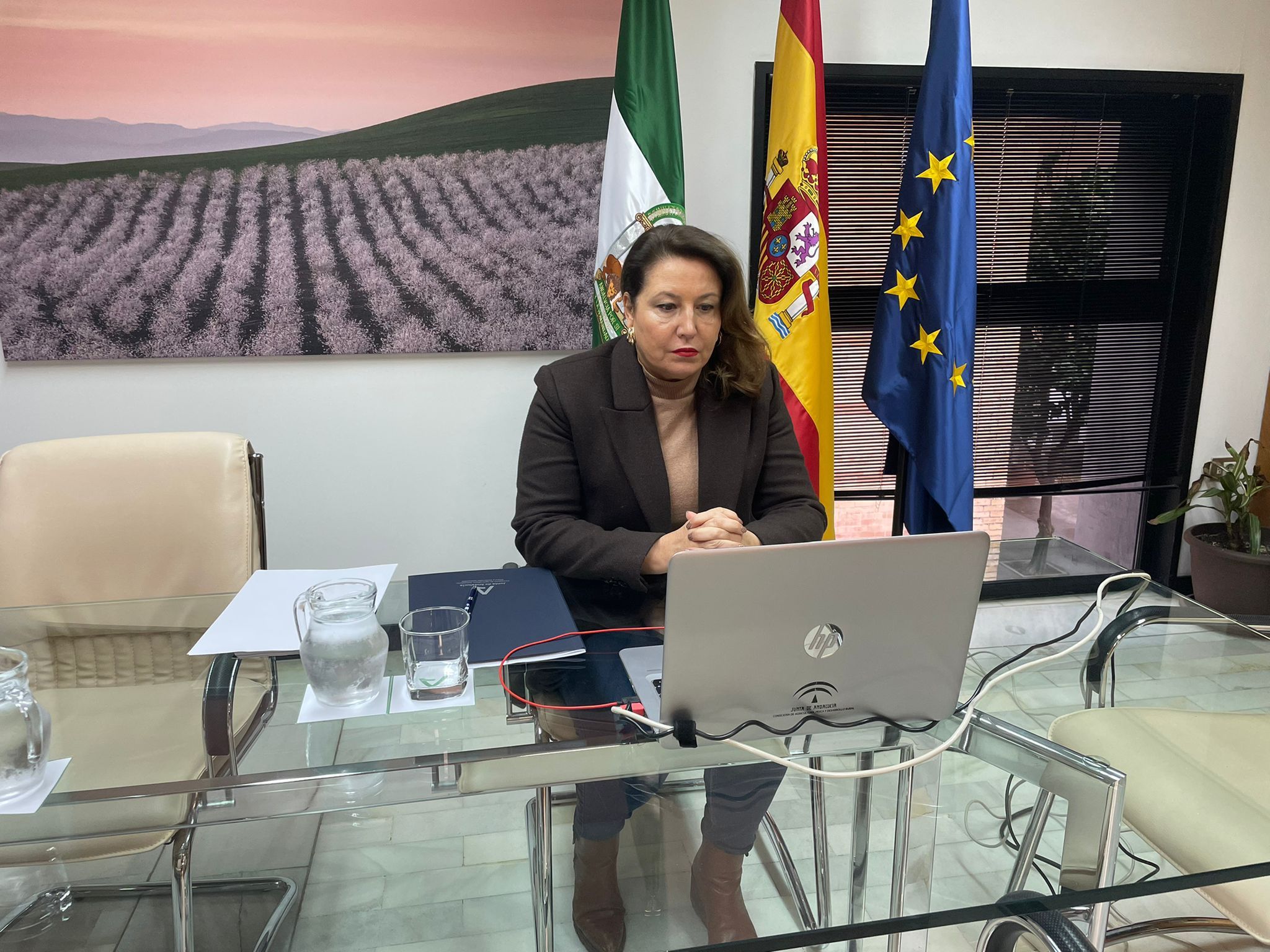 La Junta pide más fondos europeos para regadío y para hacer frente a la sequía. Carmen Crespo en el Consejo Consultivo.