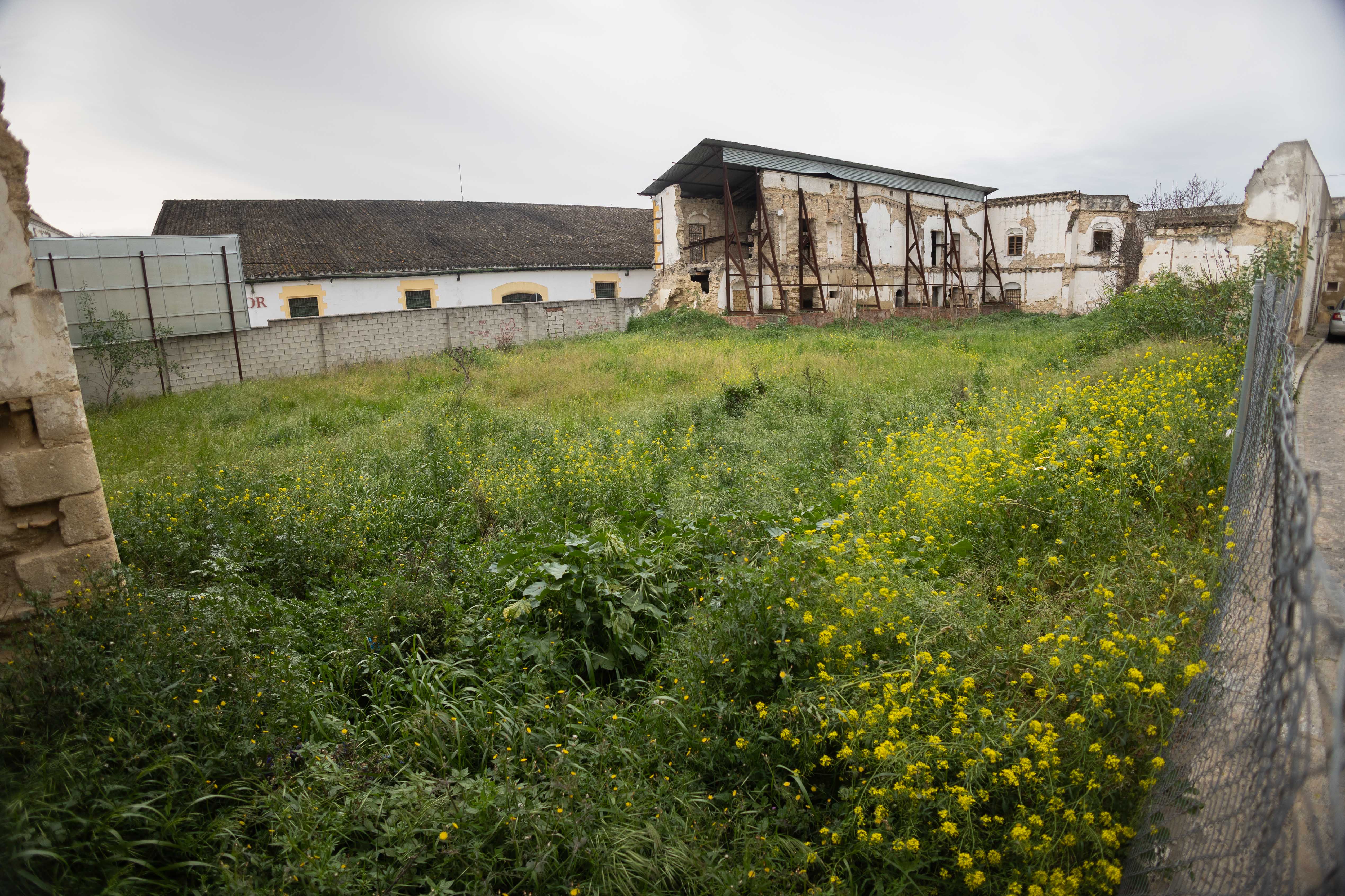 Uno de los solares abandonados en San Mateo, que ahora prevé albergar viviendas.